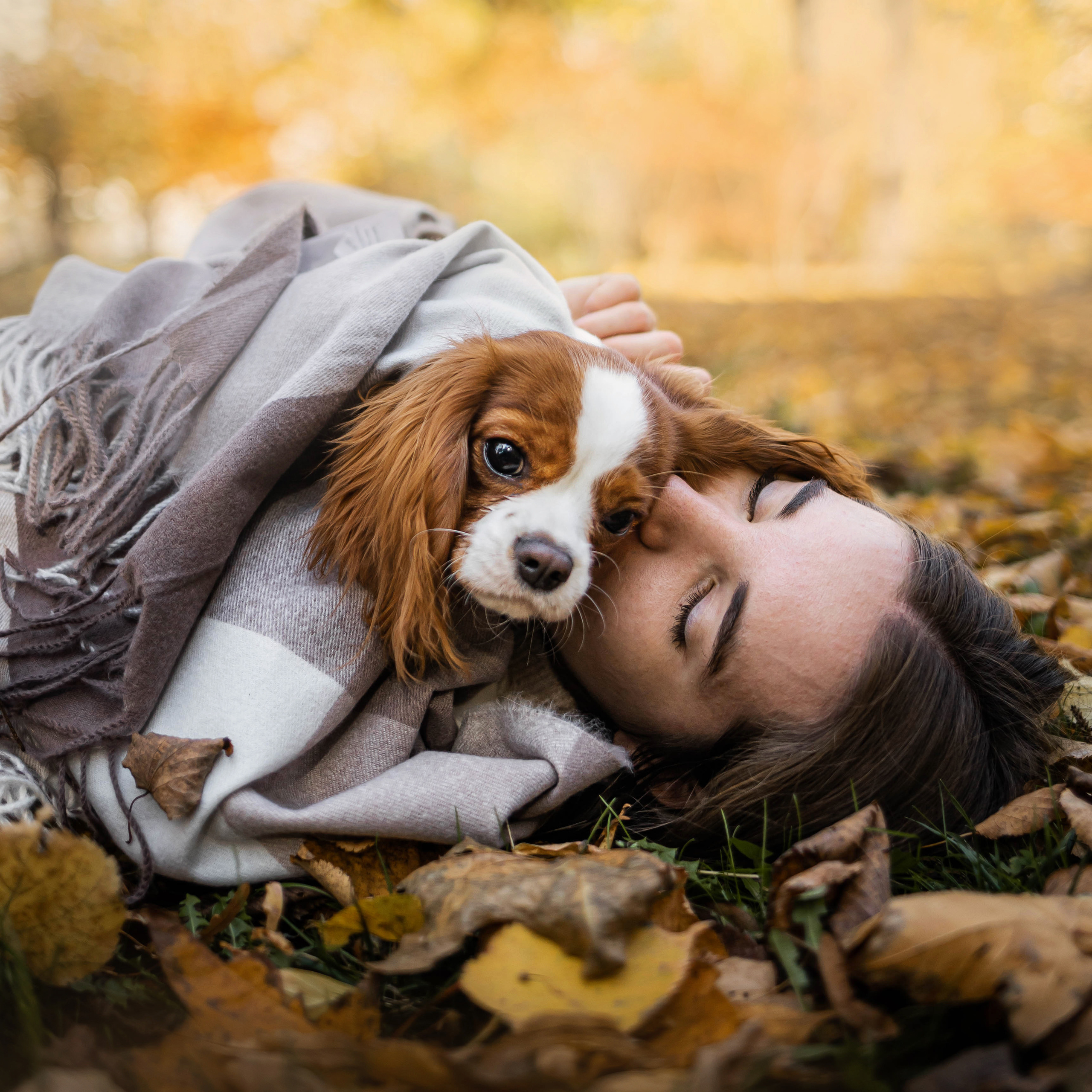 Фотосессия с собакой Флаффи в Москве