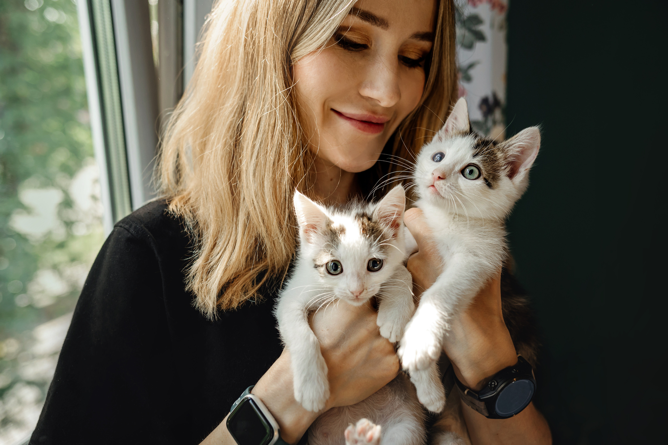 Фотосессия для котят в интерьере