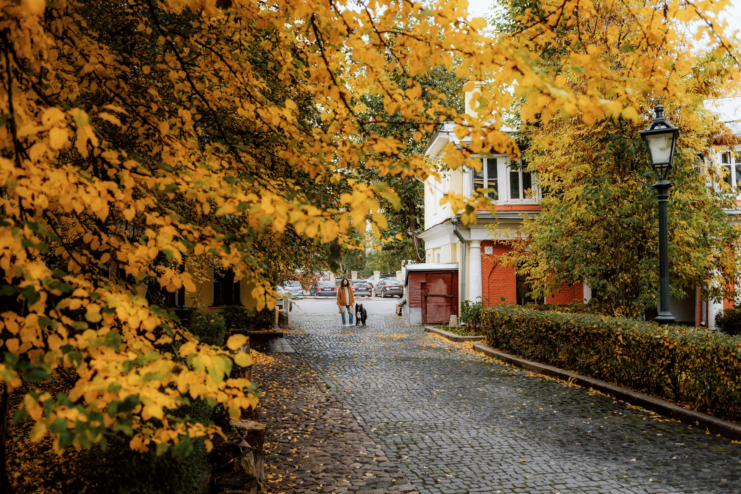 Диана и Чили