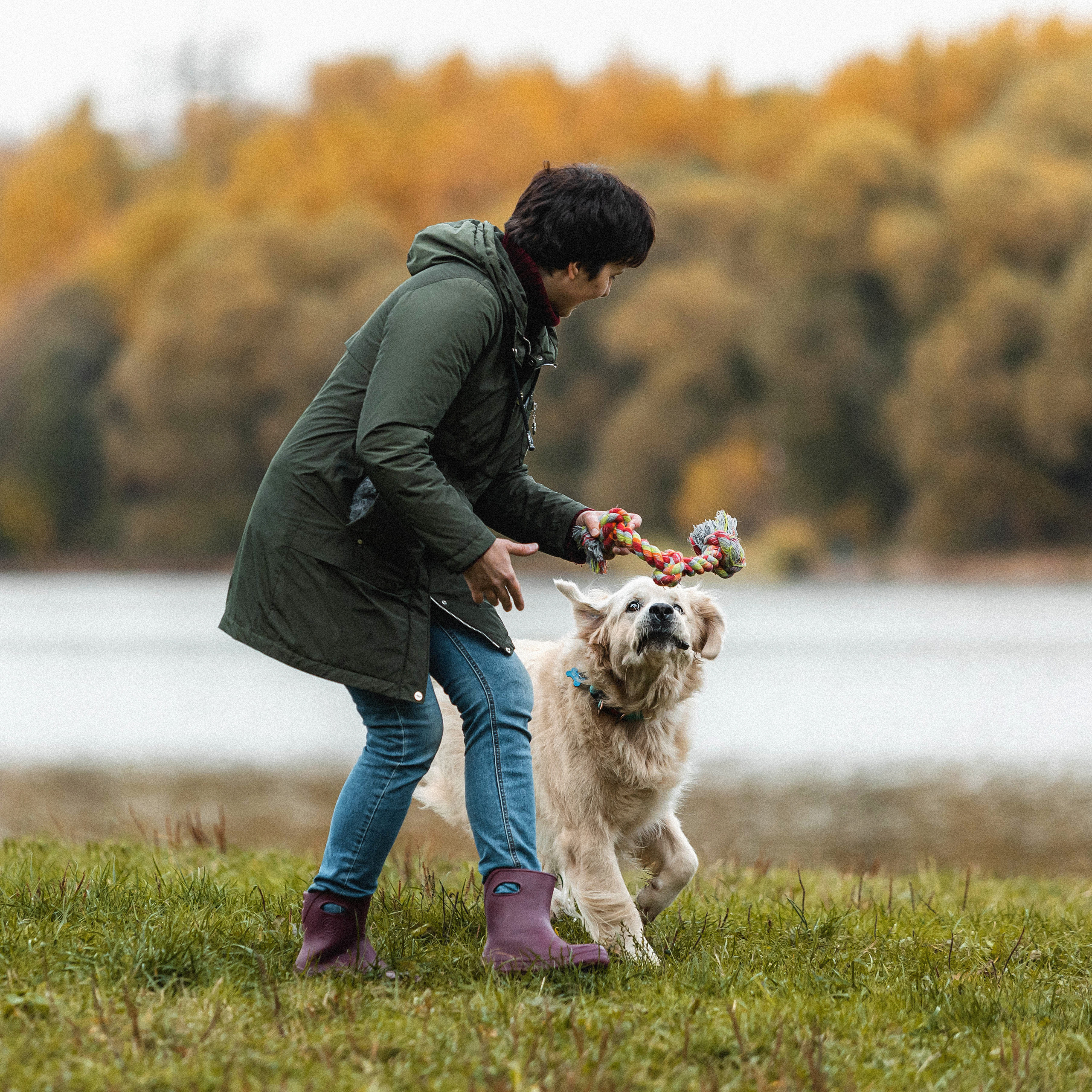 Фотосессия с золотистым ретривером Мартином в Москве