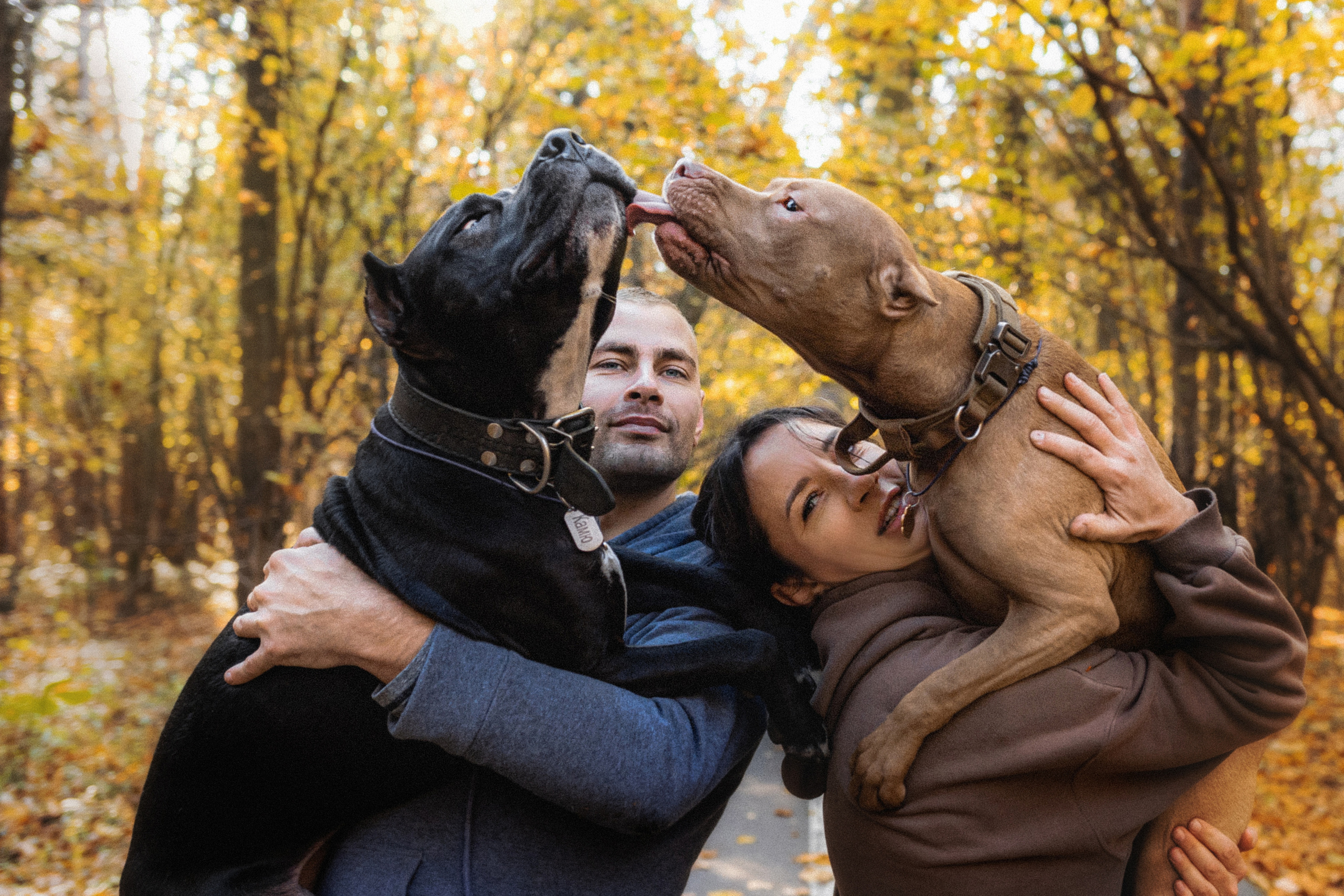Фотосессия с собаками Камю и Афина в Москве