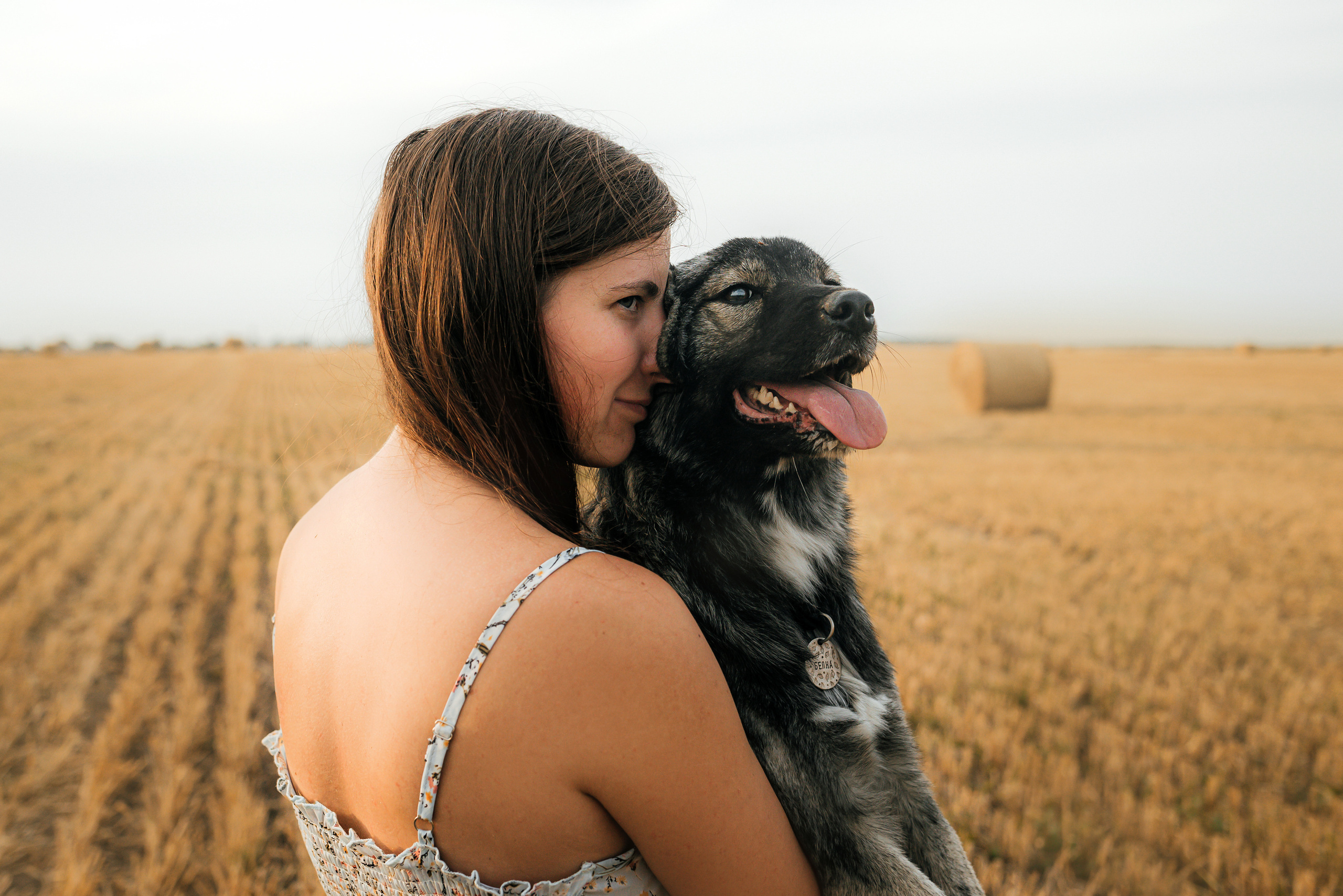 Фотосессия со стогами сена с собаками в Москве