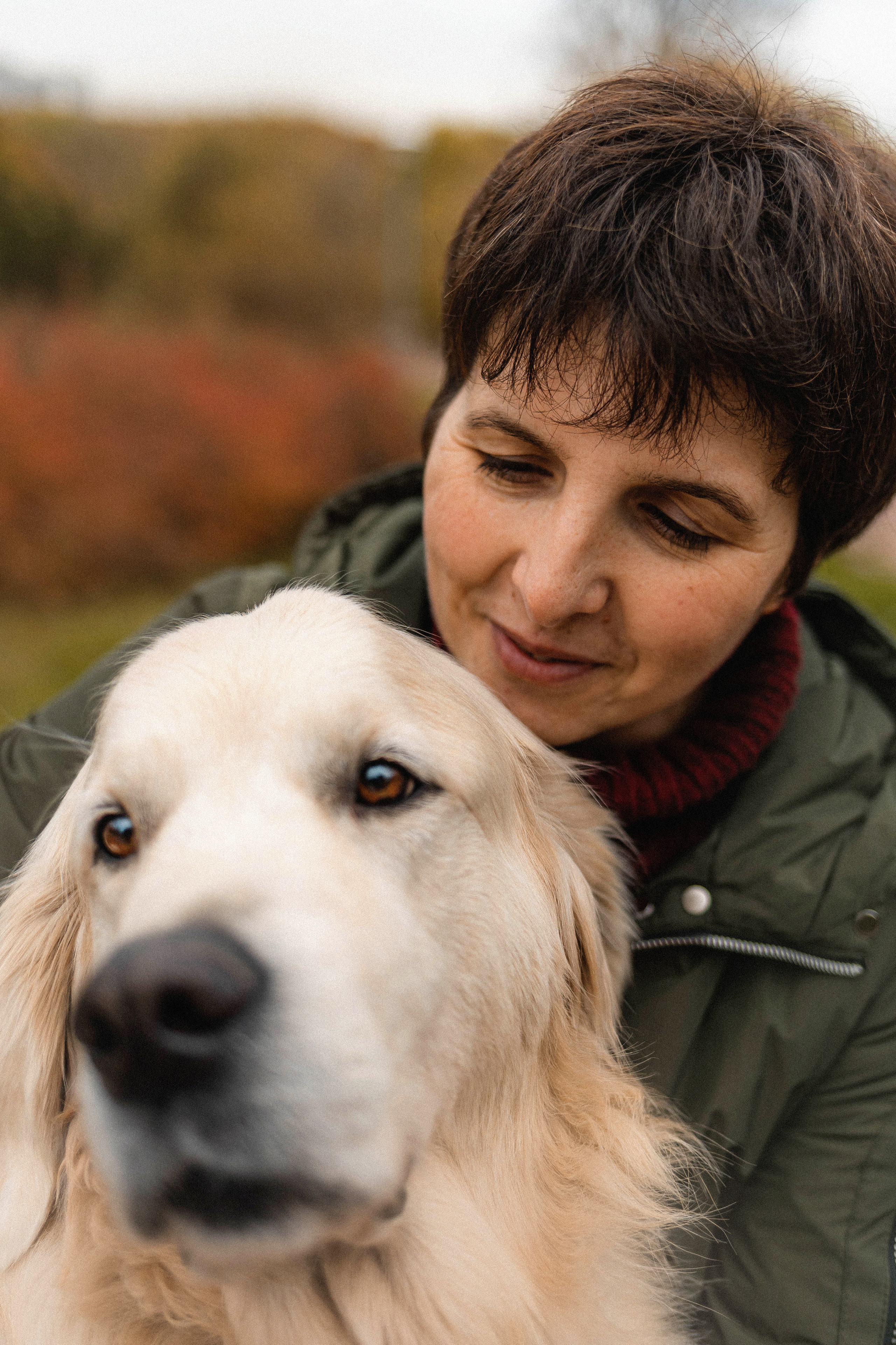 Фотосессия с золотистым ретривером Мартином в Москве