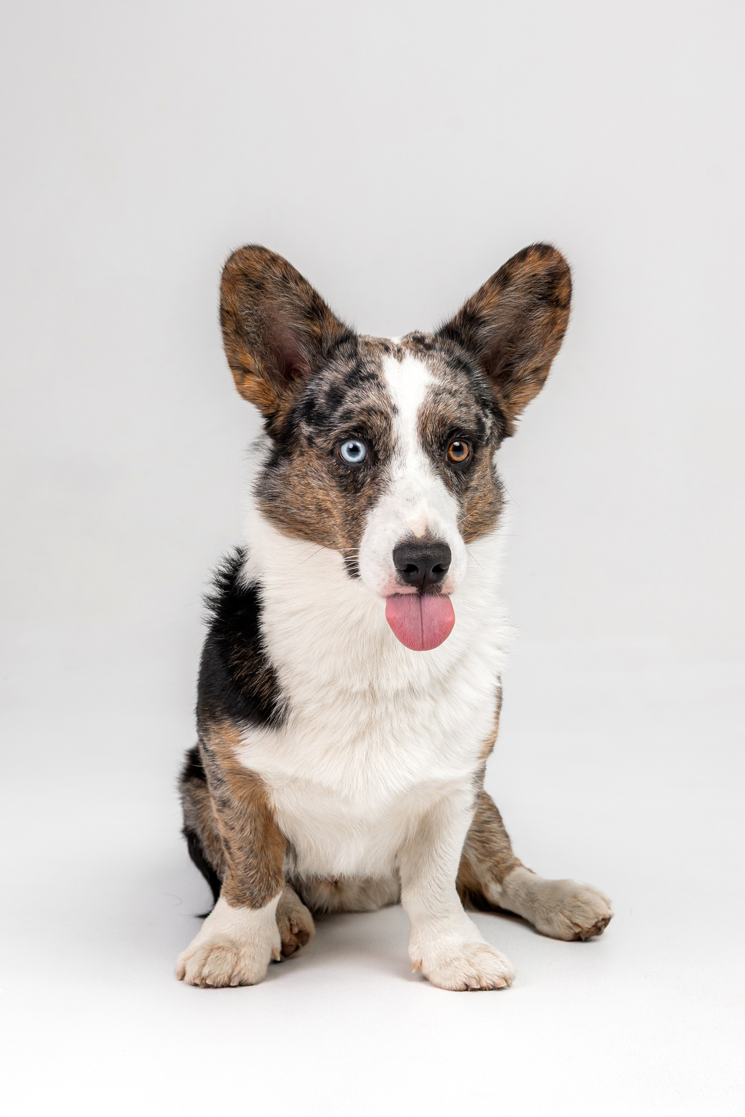 Анатолий и Рагнар