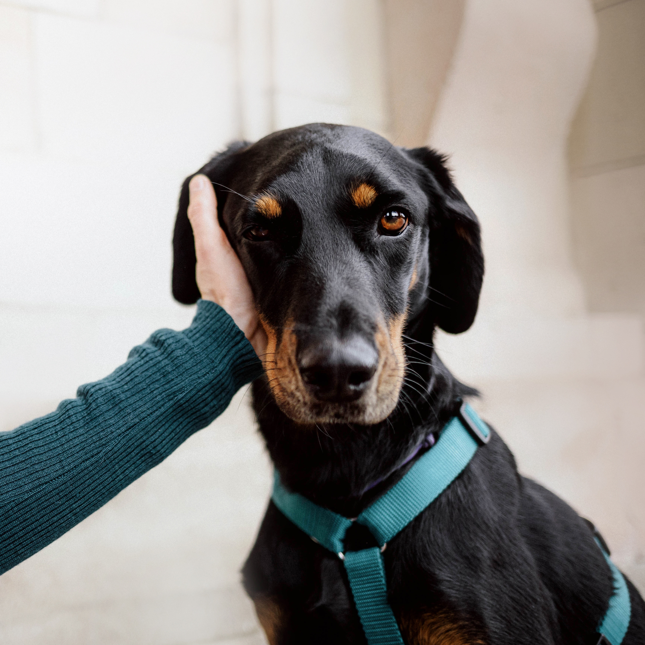 Настя и Флай