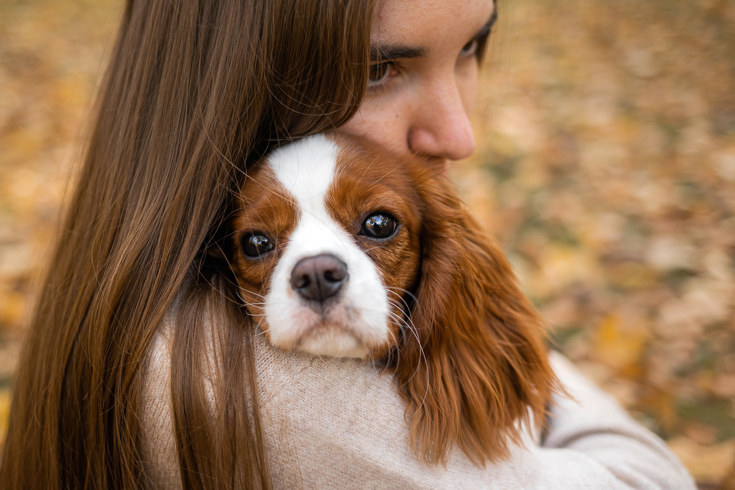 Фотосессия с собакой Флаффи в Москве