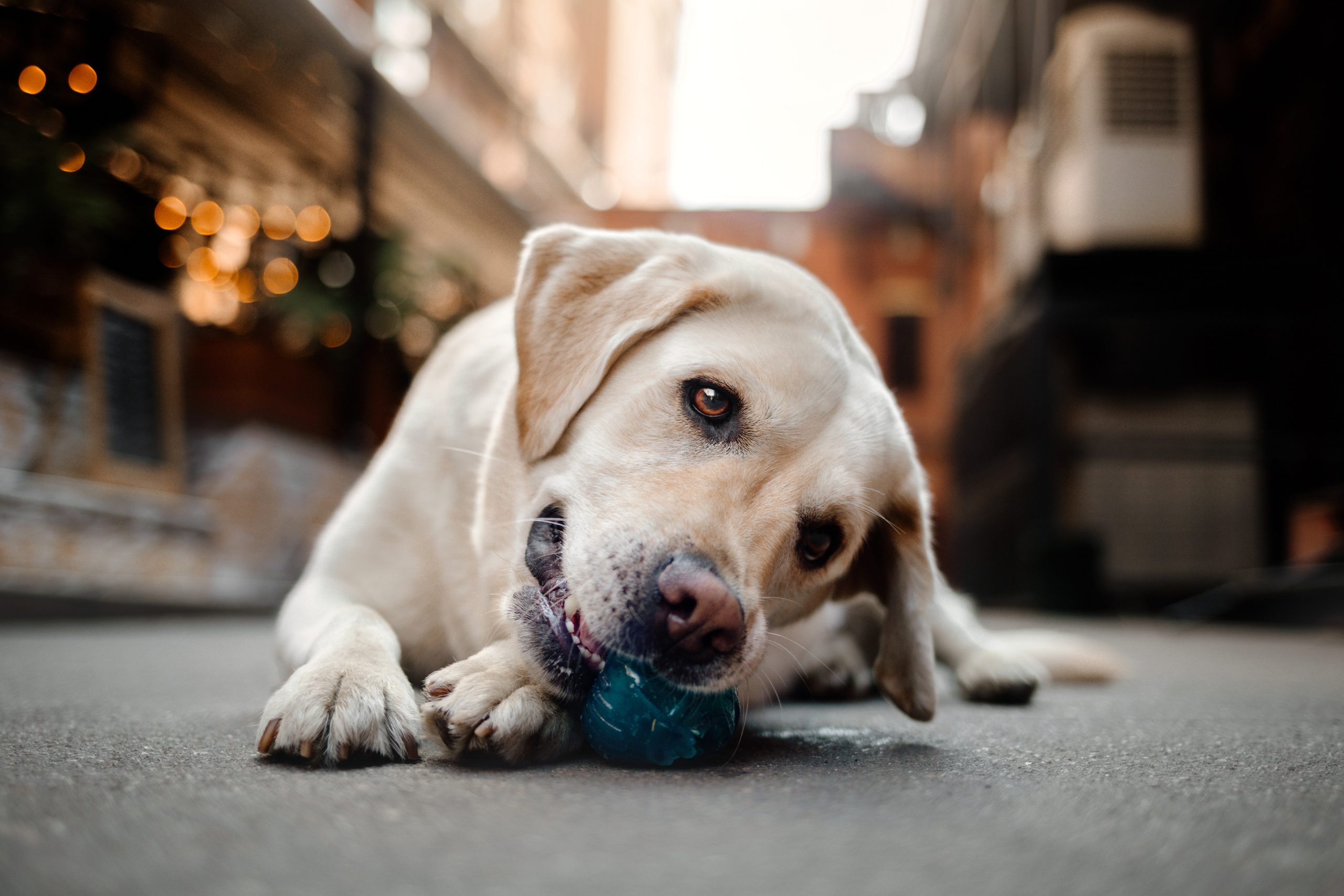 Настя и Мэри