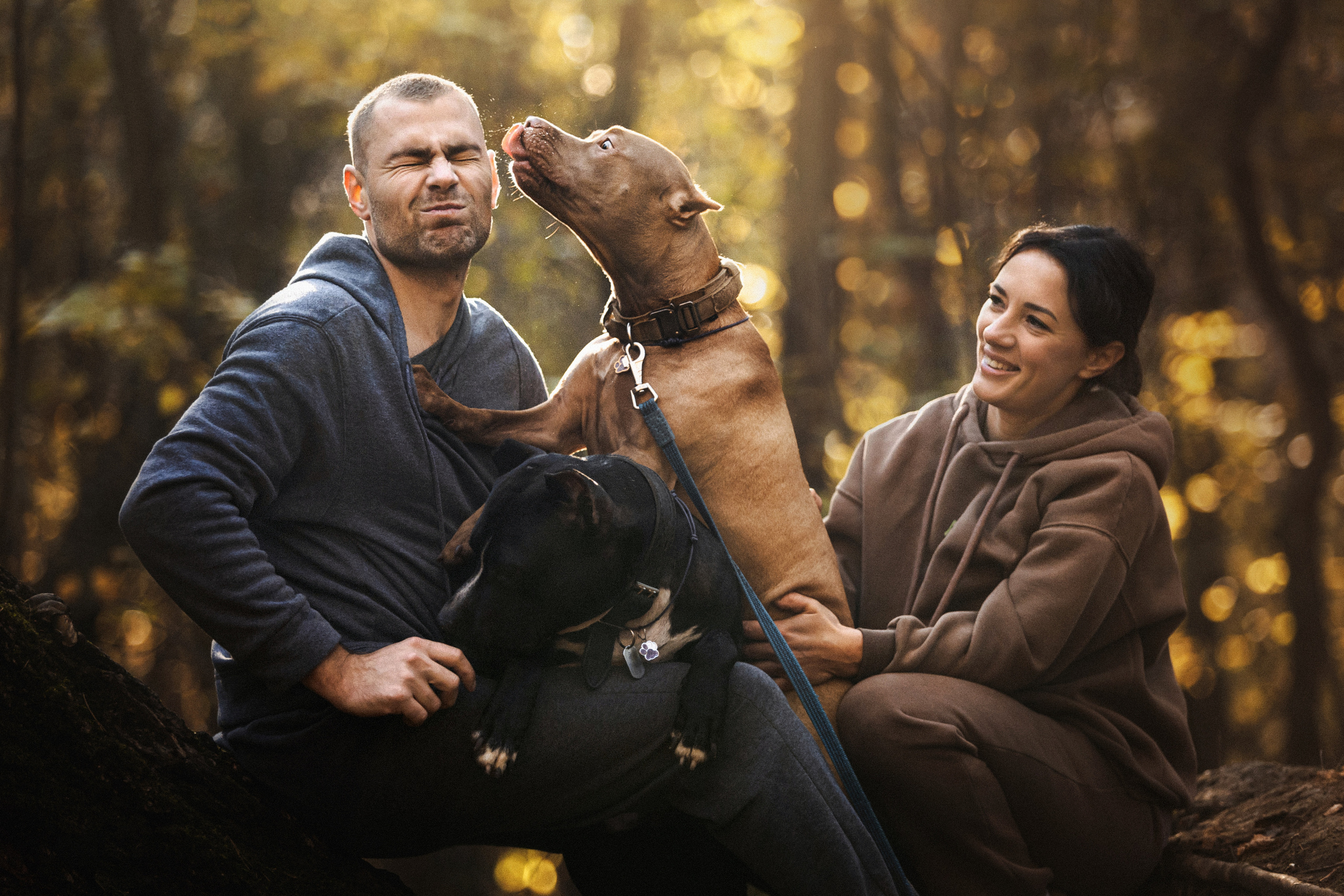 Фотосессия с собаками Камю и Афина в Москве