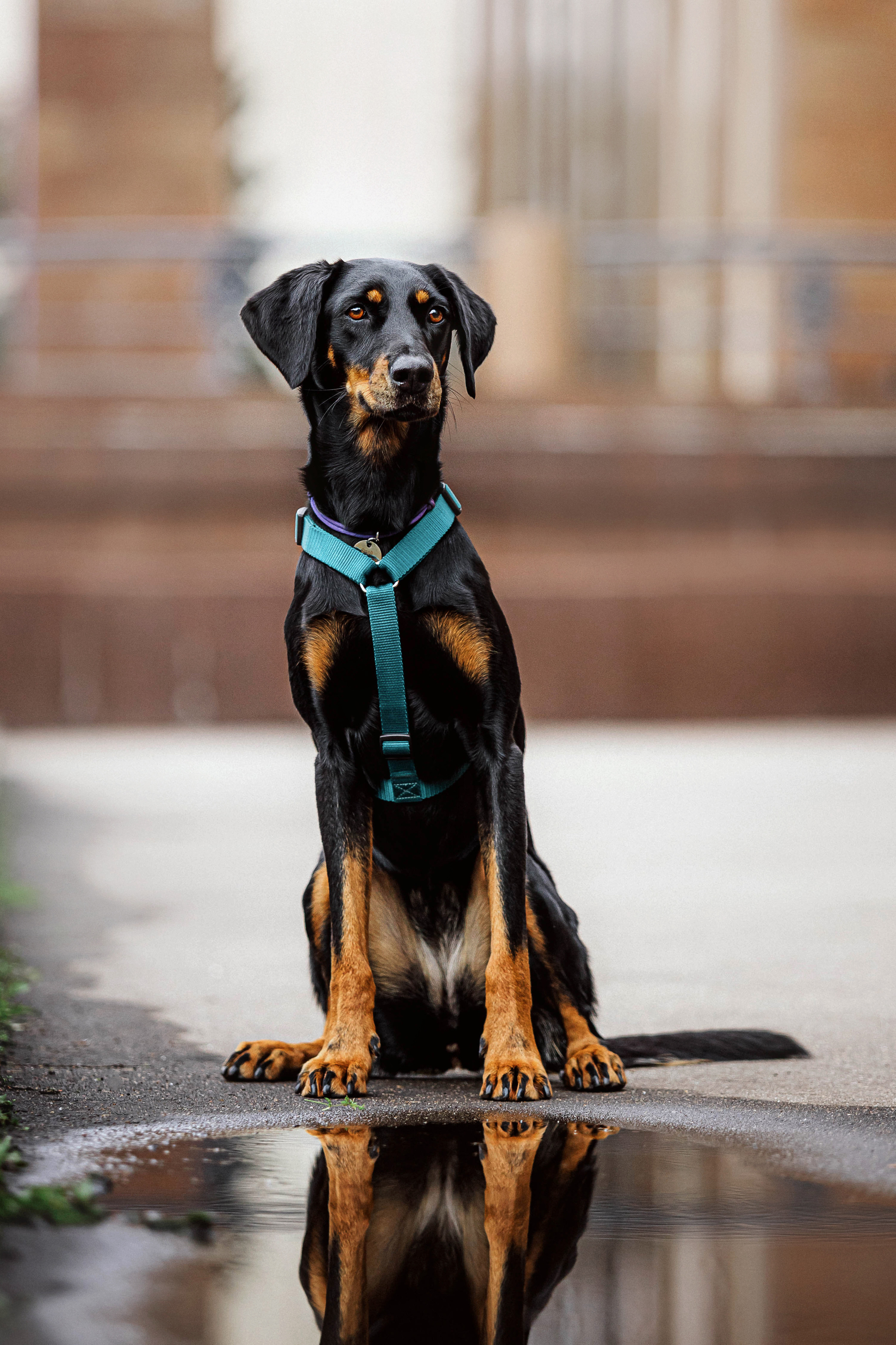 Настя и Флай