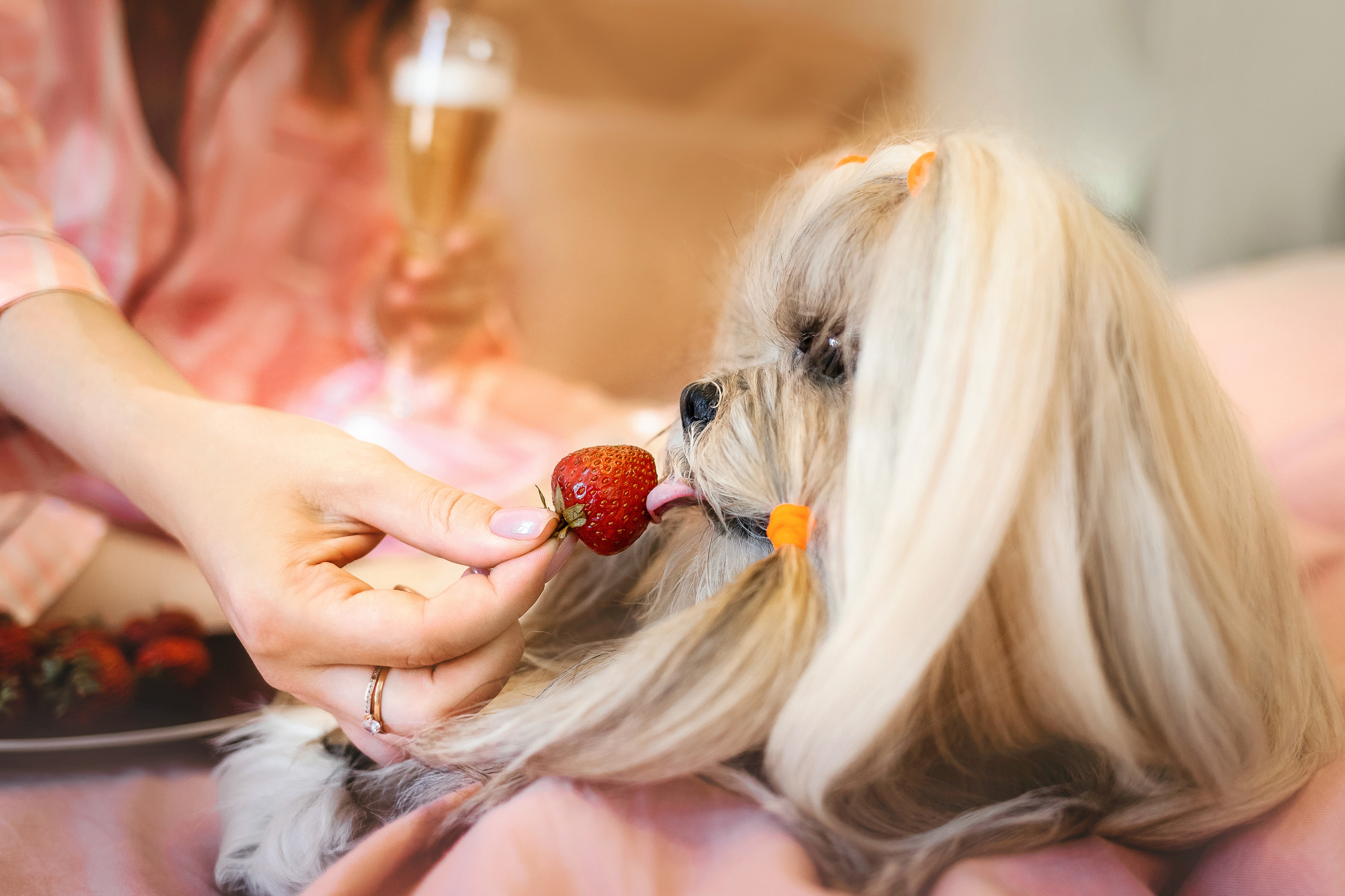 Фотосессия с Алисой и Мартином в студии в Москве