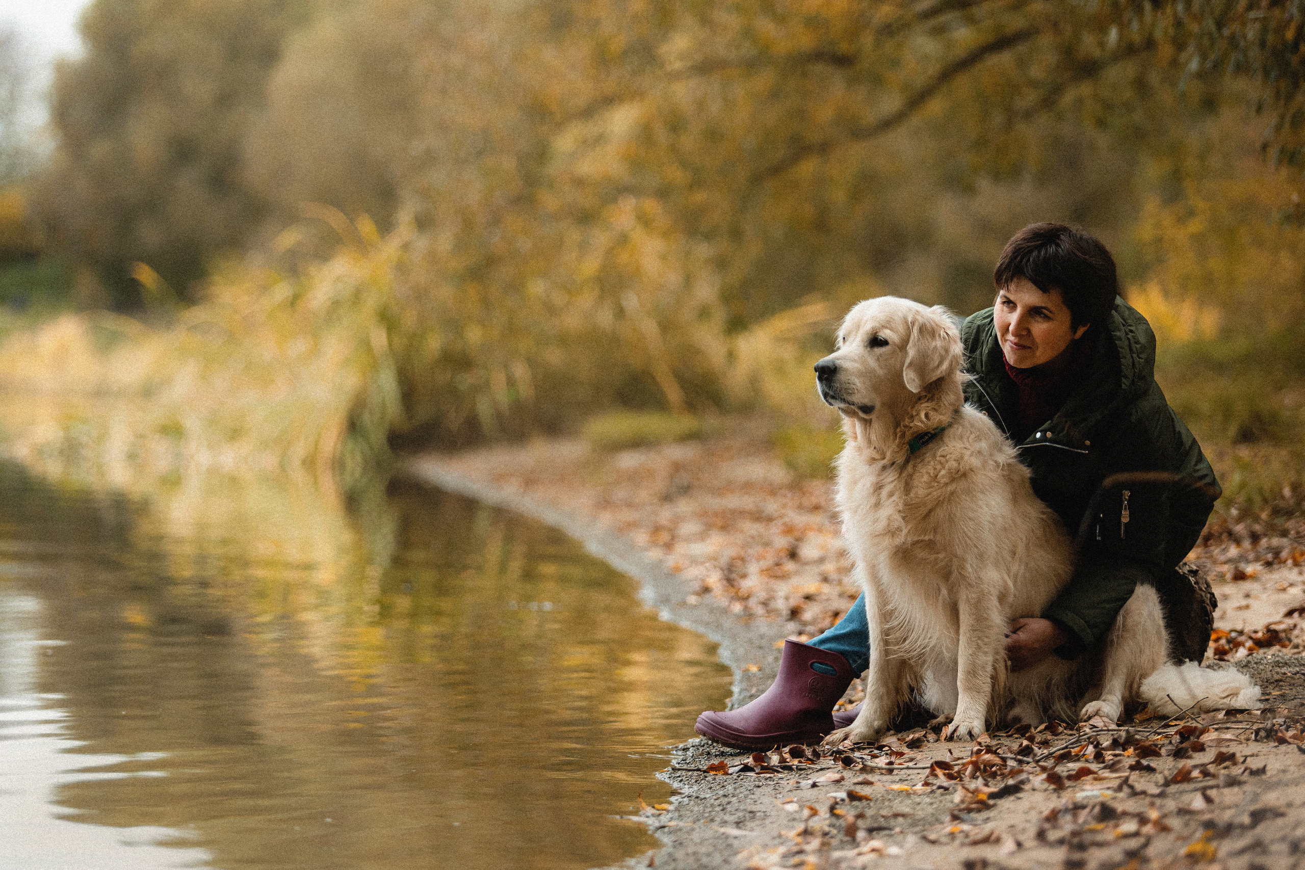 Фотосессия с золотистым ретривером Мартином в Москве