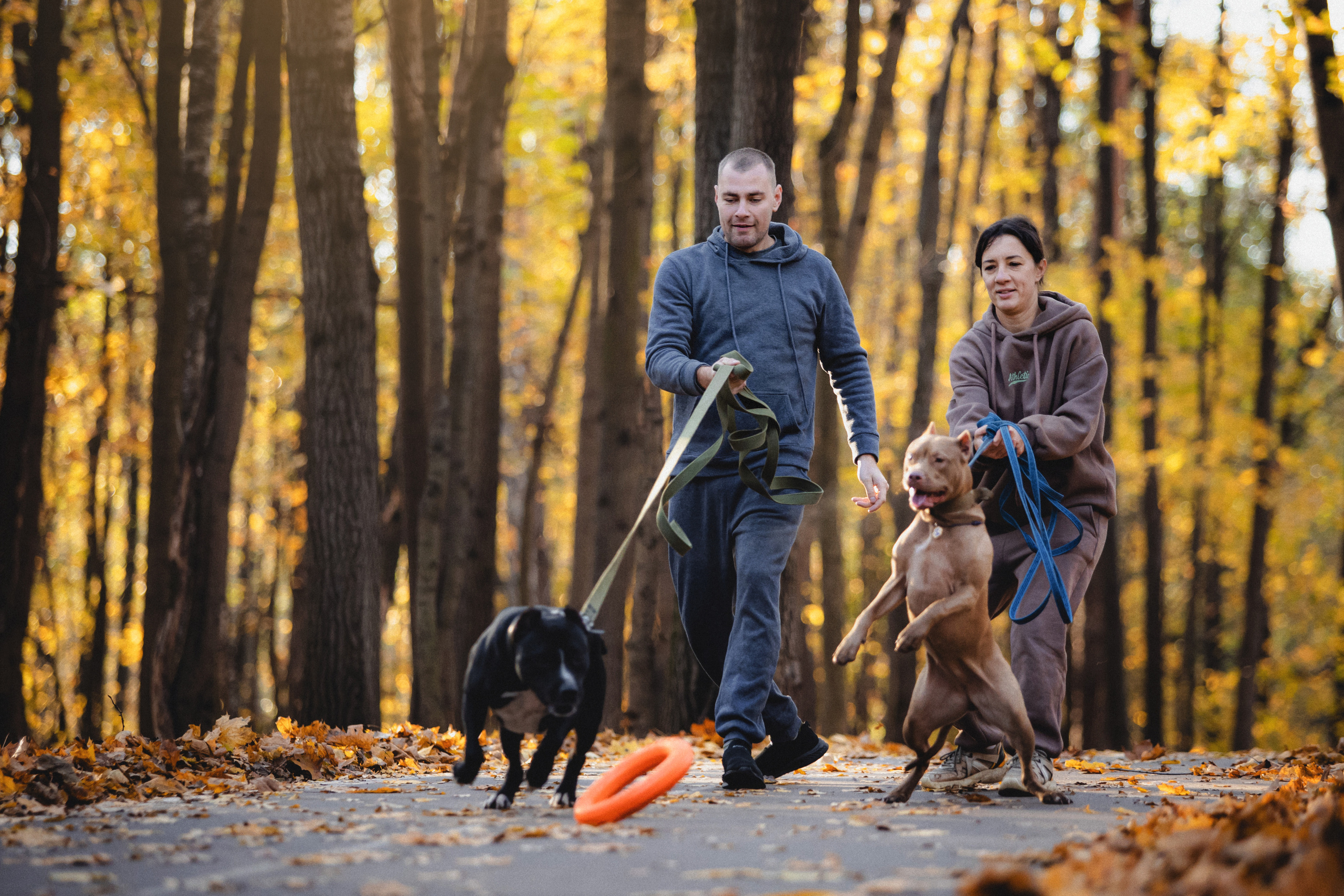 Фотосессия с собаками Камю и Афина в Москве