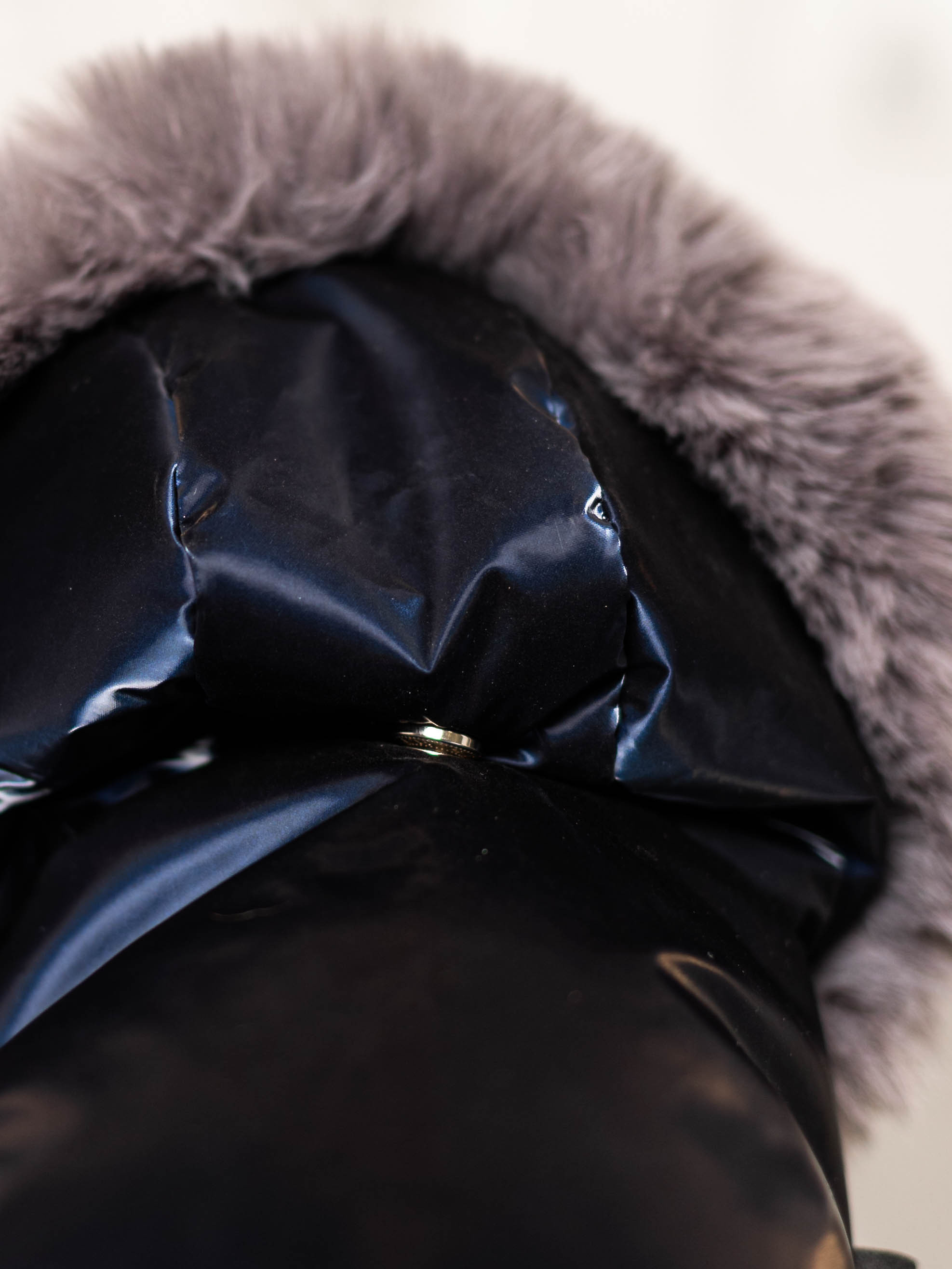 Фотосессия для каталога собачьих товаров на Wildberries