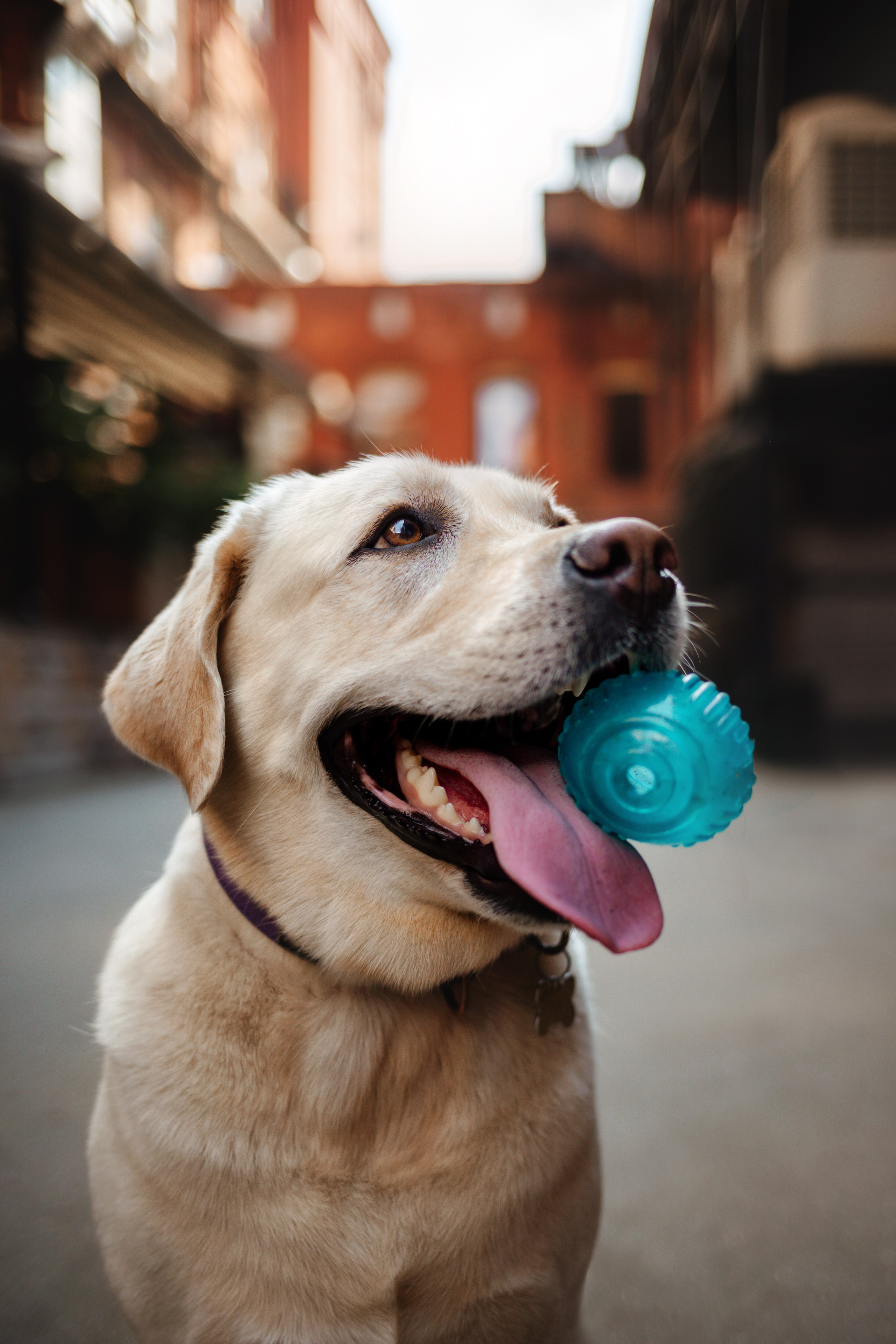 Настя и Мэри