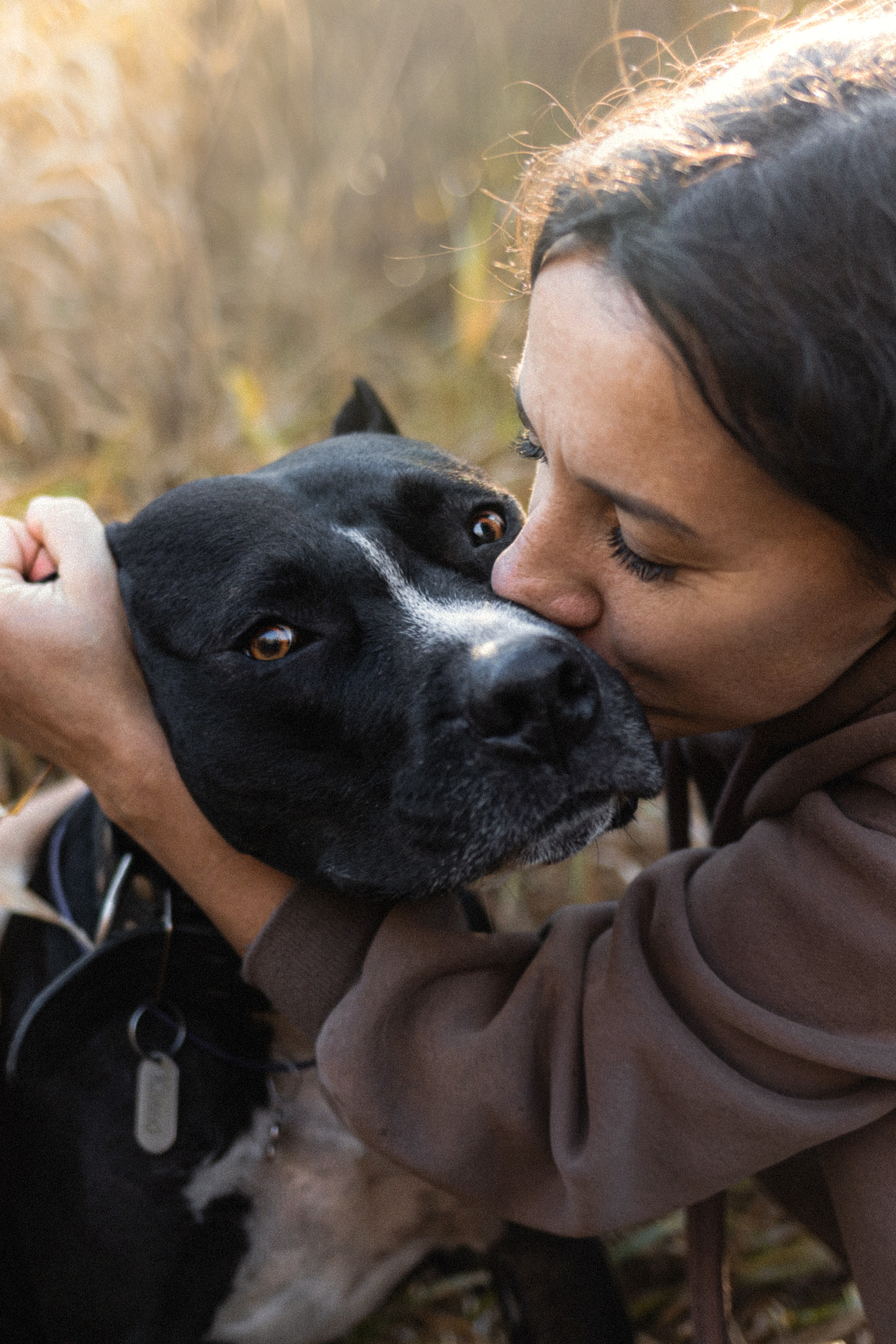 Фотосессия с собаками Камю и Афина в Москве