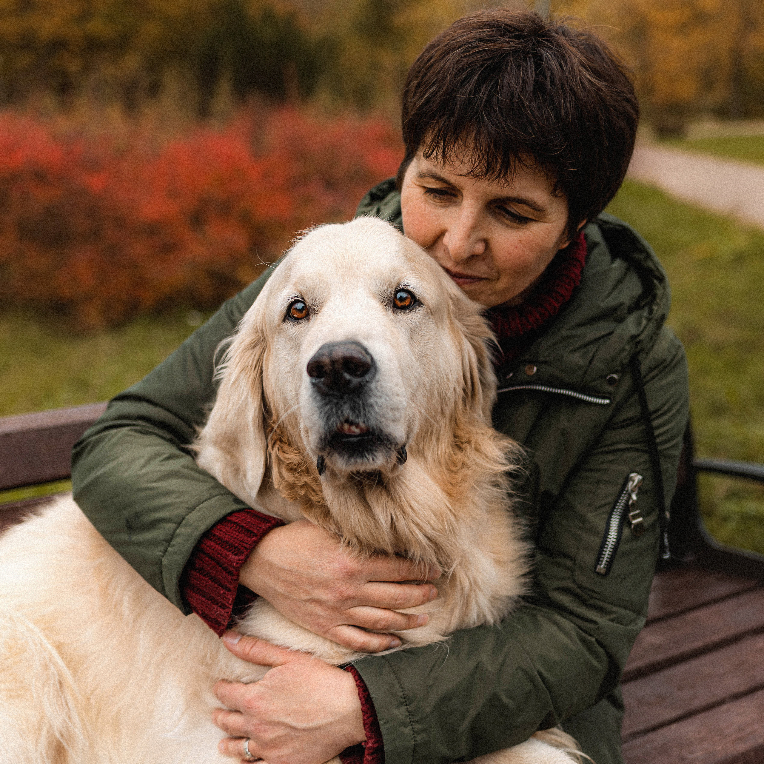 Фотосессия с золотистым ретривером Мартином в Москве
