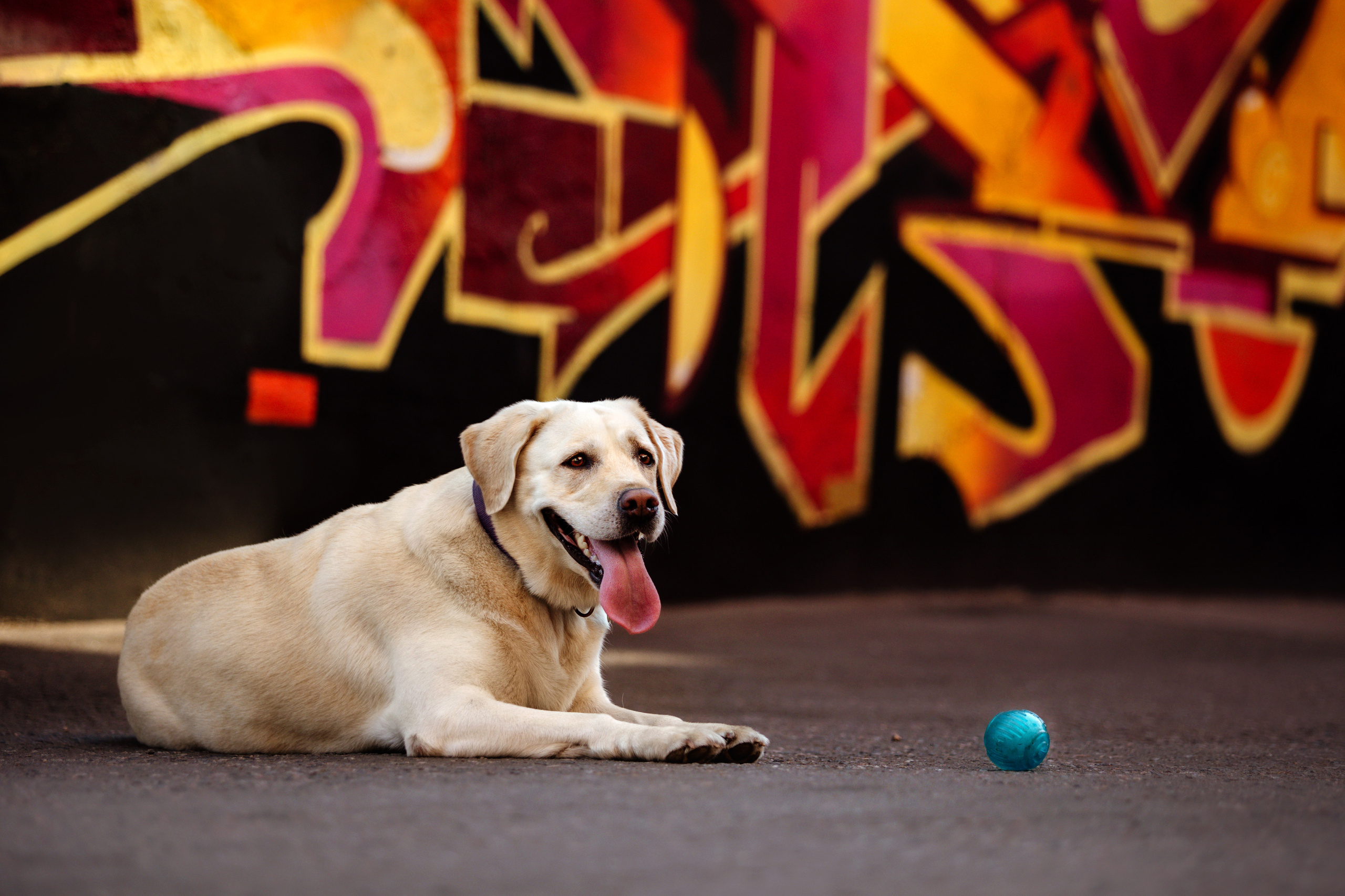 Настя и Мэри