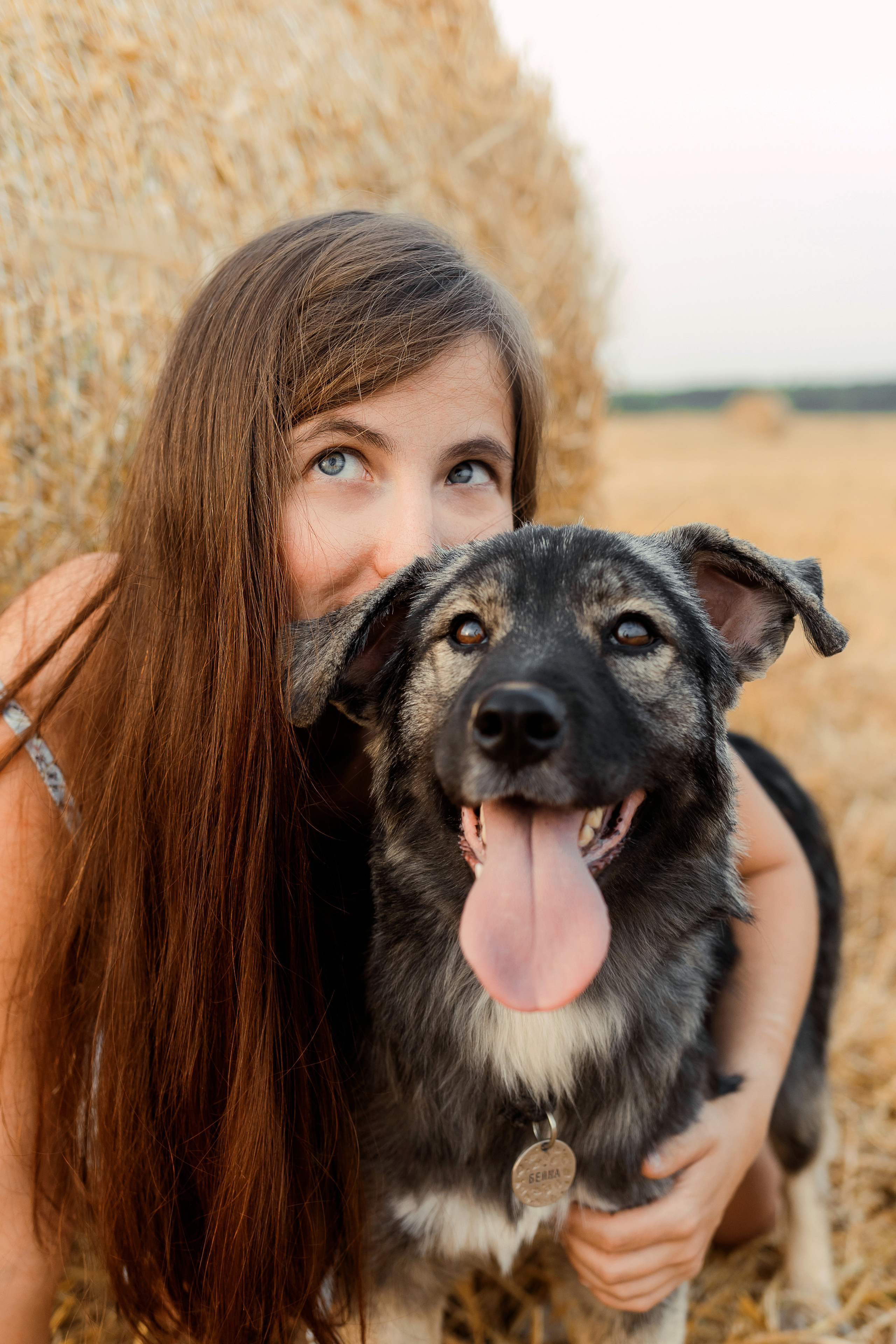 Фотосессия со стогами сена с собаками в Москве