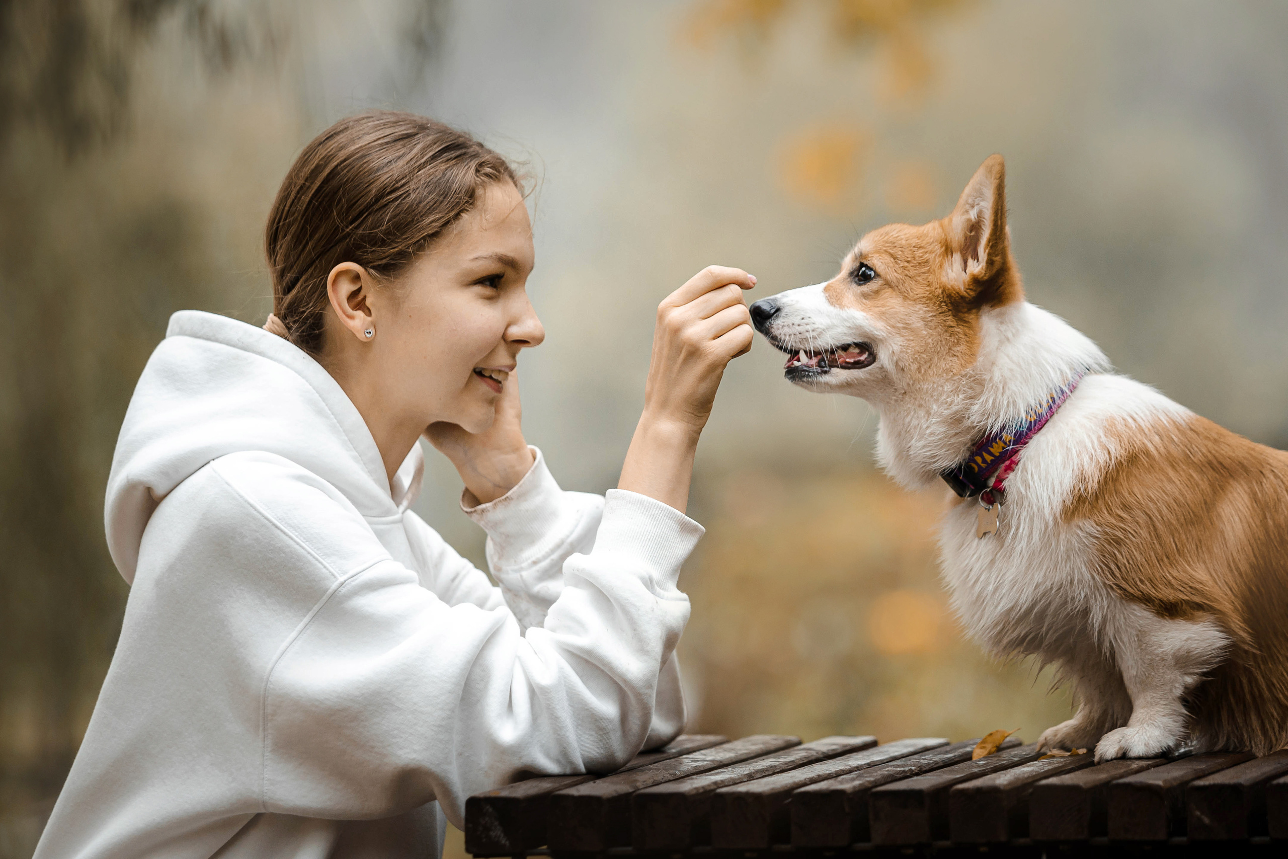 Фотосессия с собакой Заей в Москве