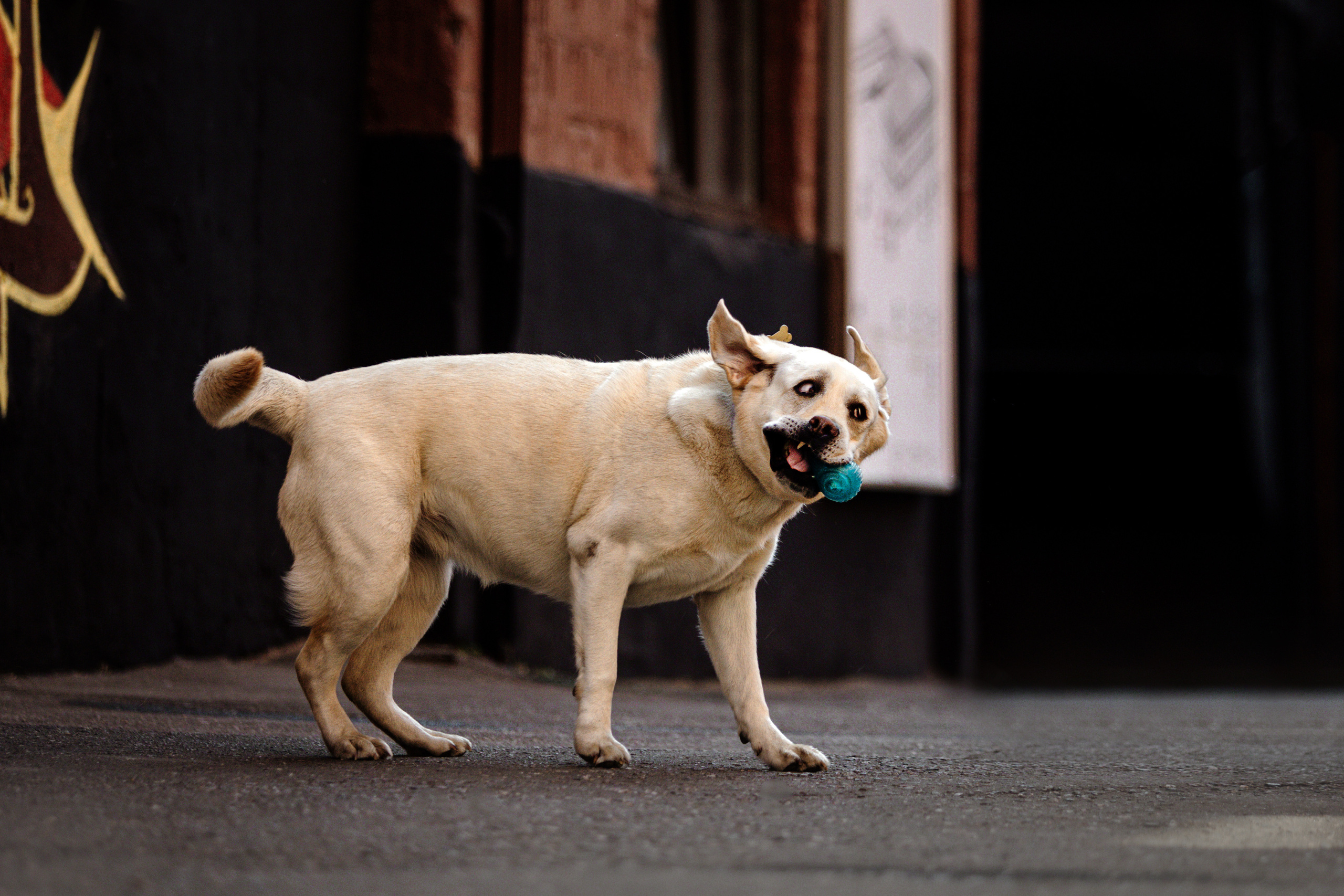 Настя и Мэри