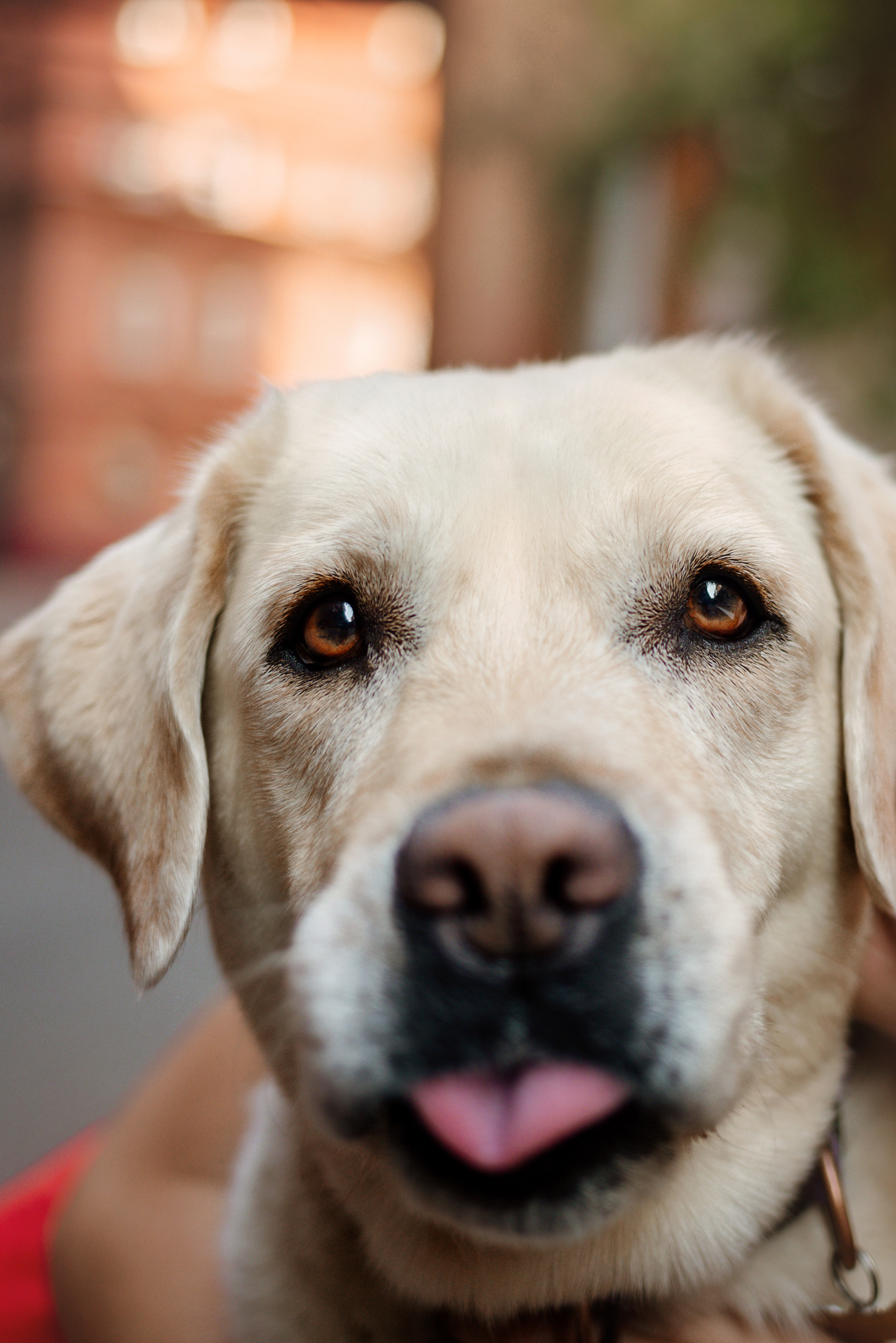 Настя и Мэри