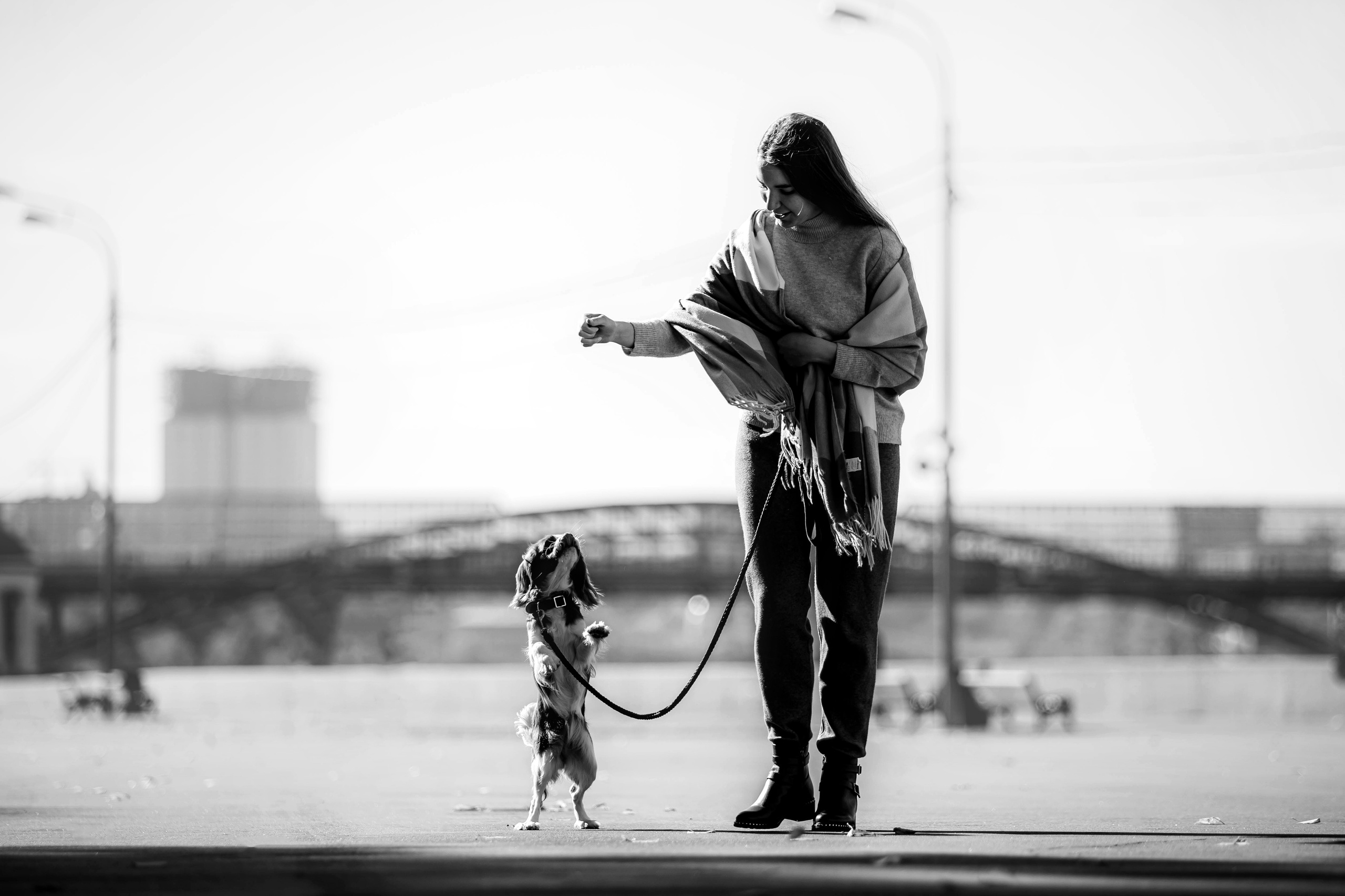 Фотосессия с собакой Флаффи в Москве