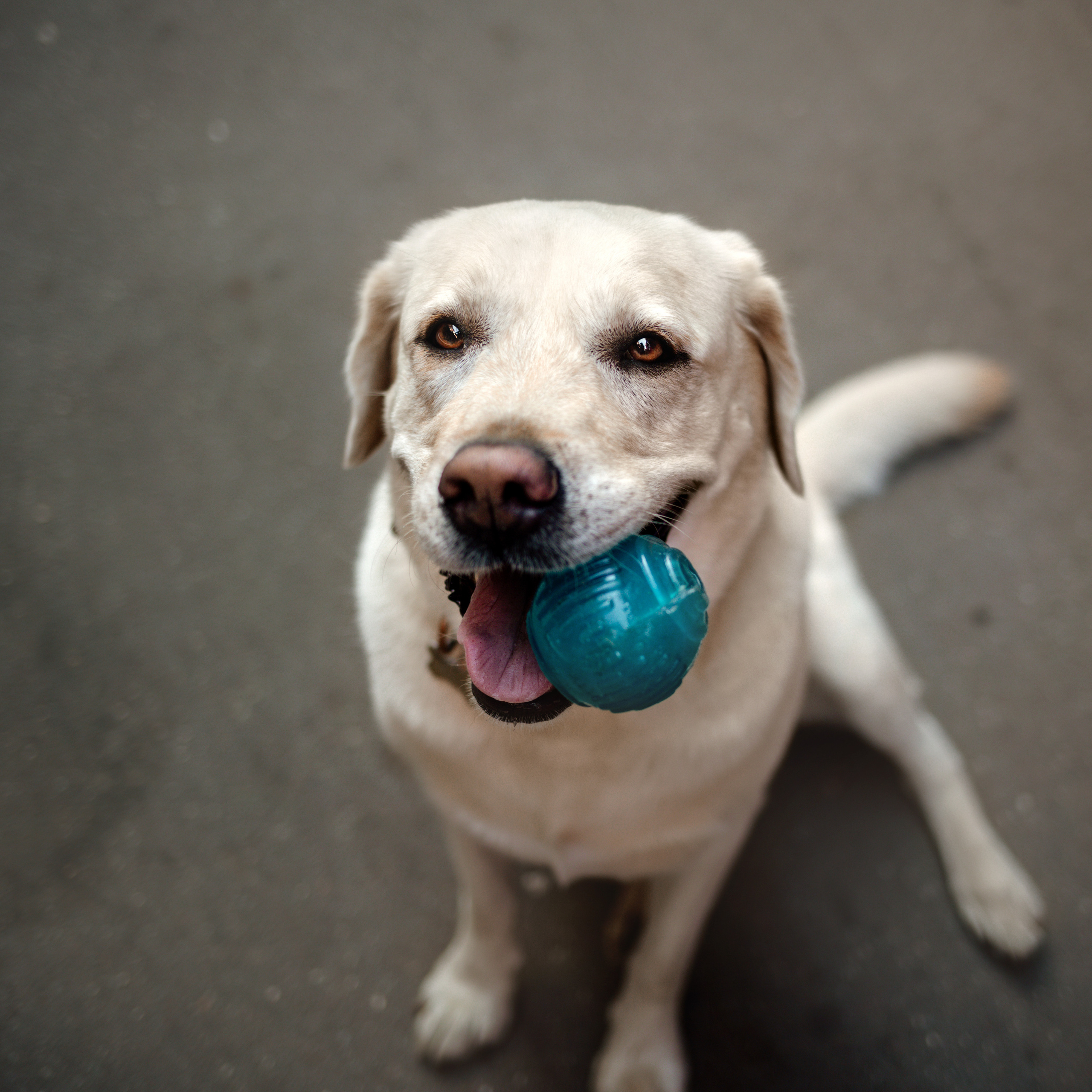 Настя и Мэри