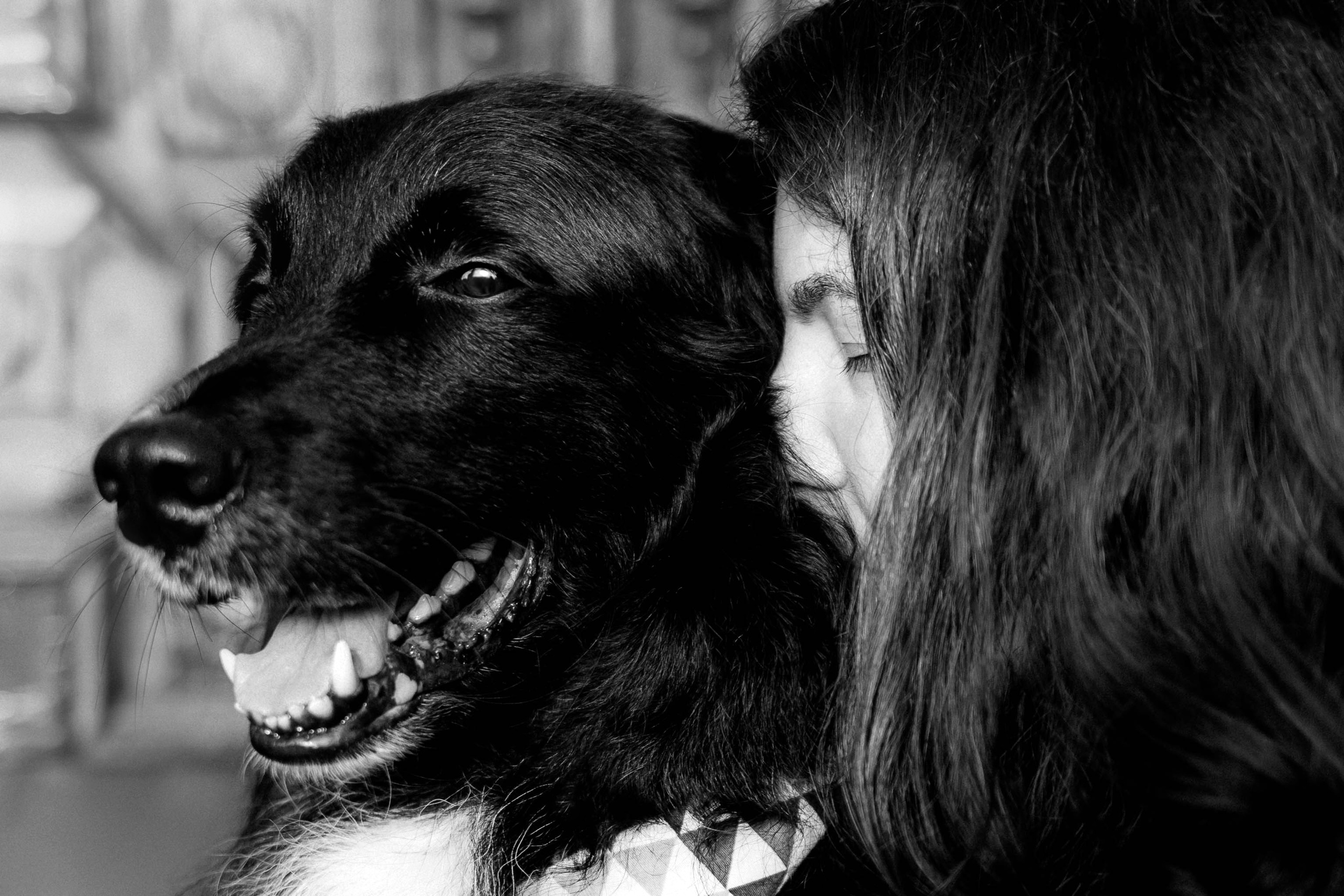 Диана и Чили