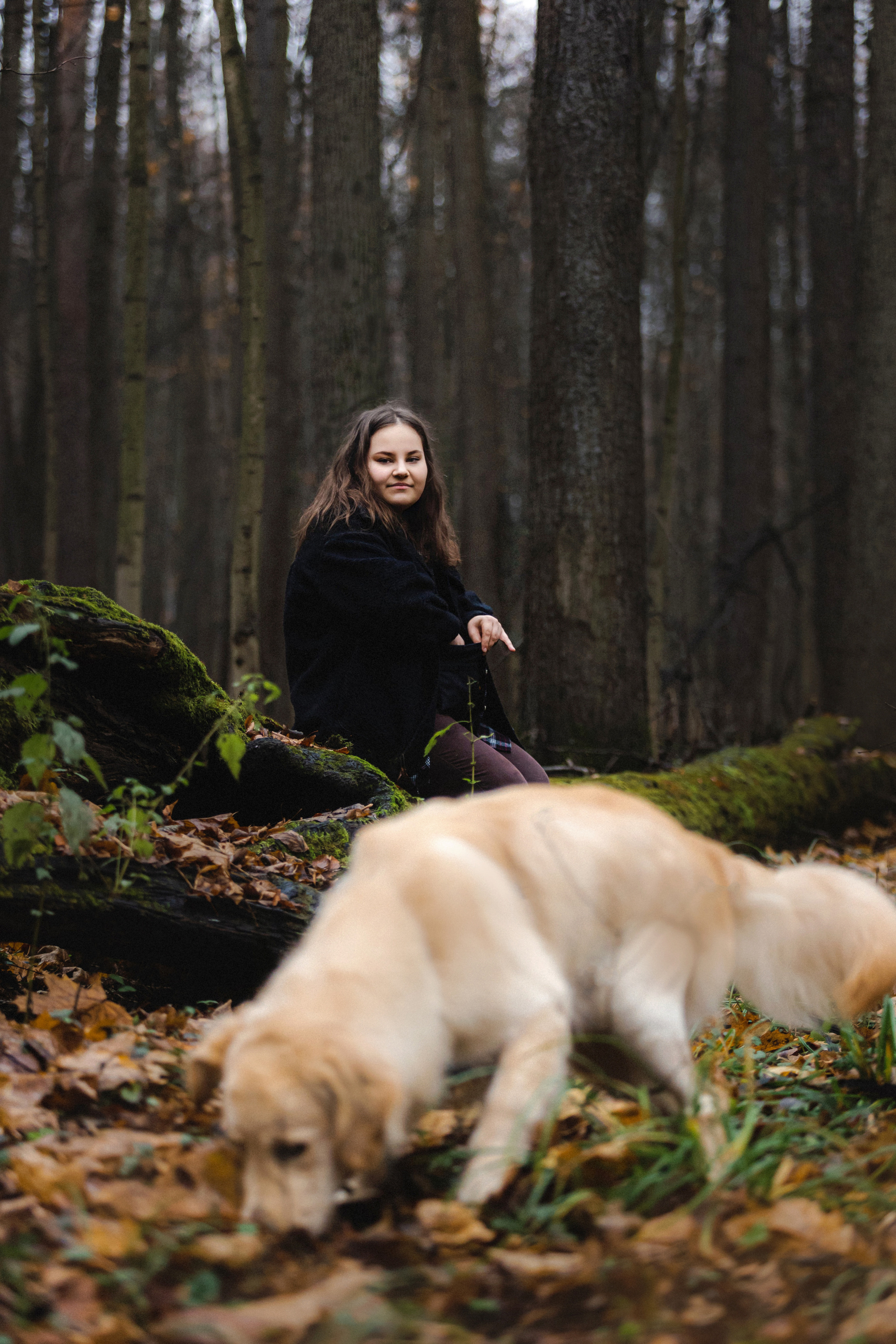 Фотосессия с собакой Гринч в Москве