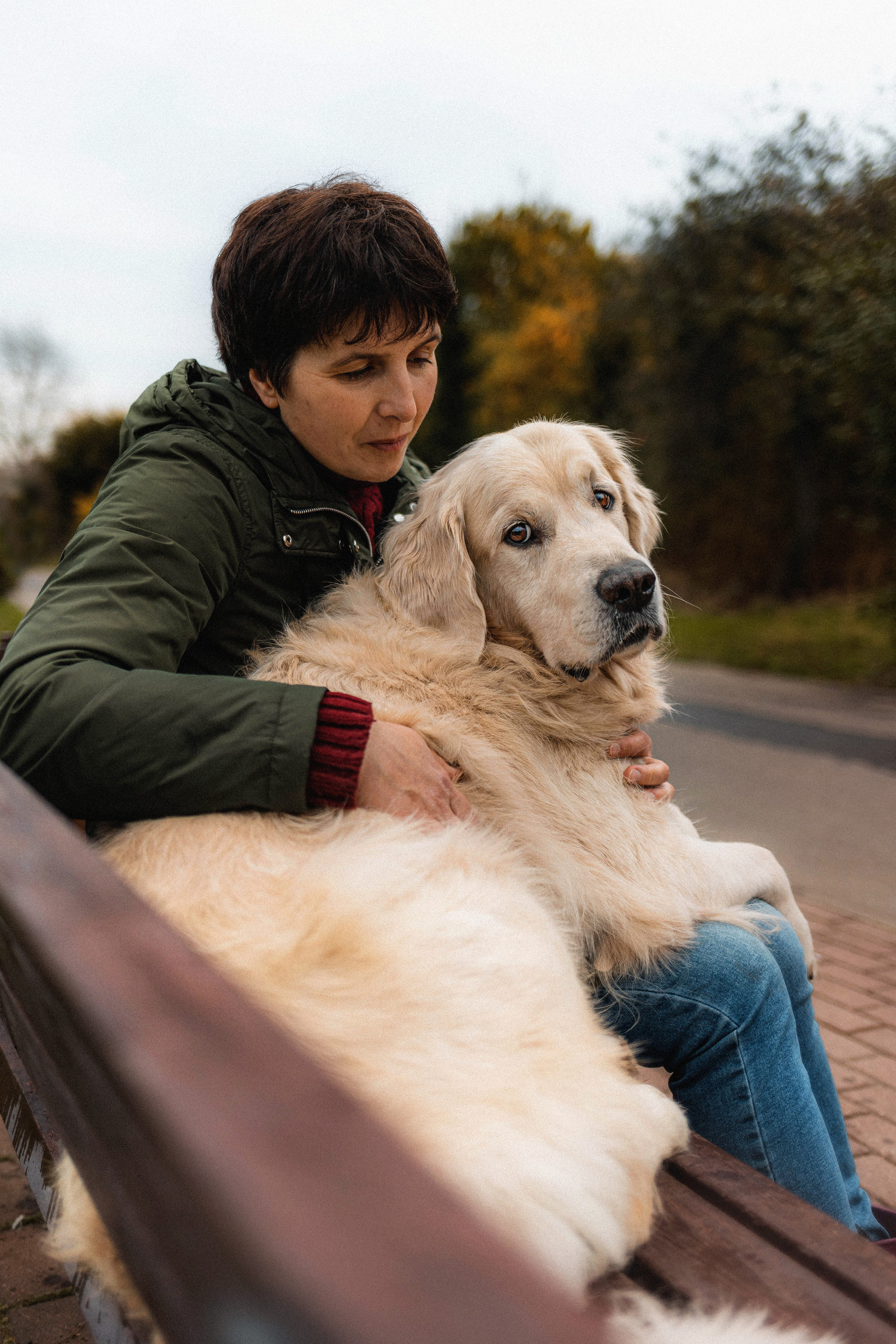 Фотосессия с золотистым ретривером Мартином в Москве