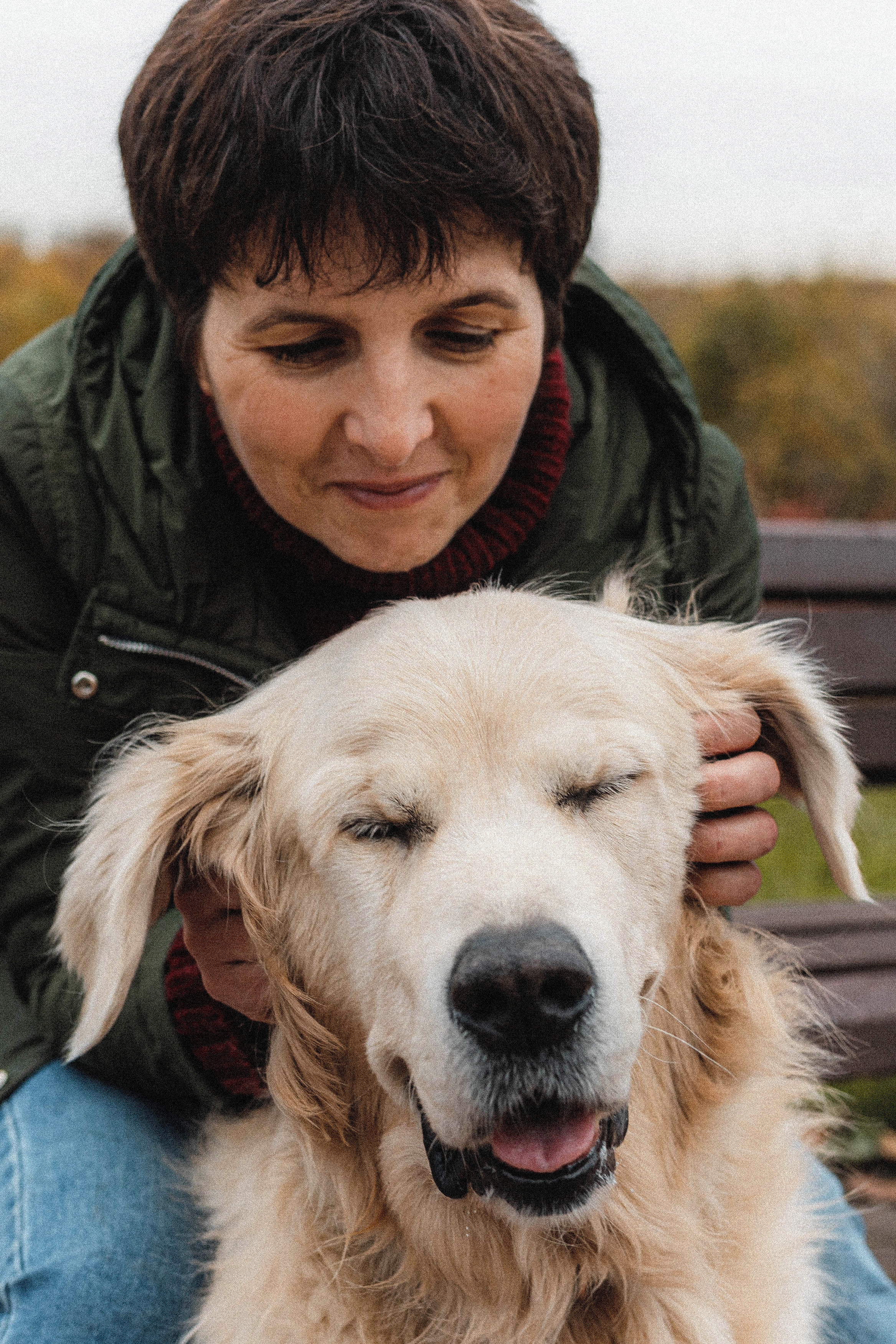 Фотосессия с золотистым ретривером Мартином в Москве