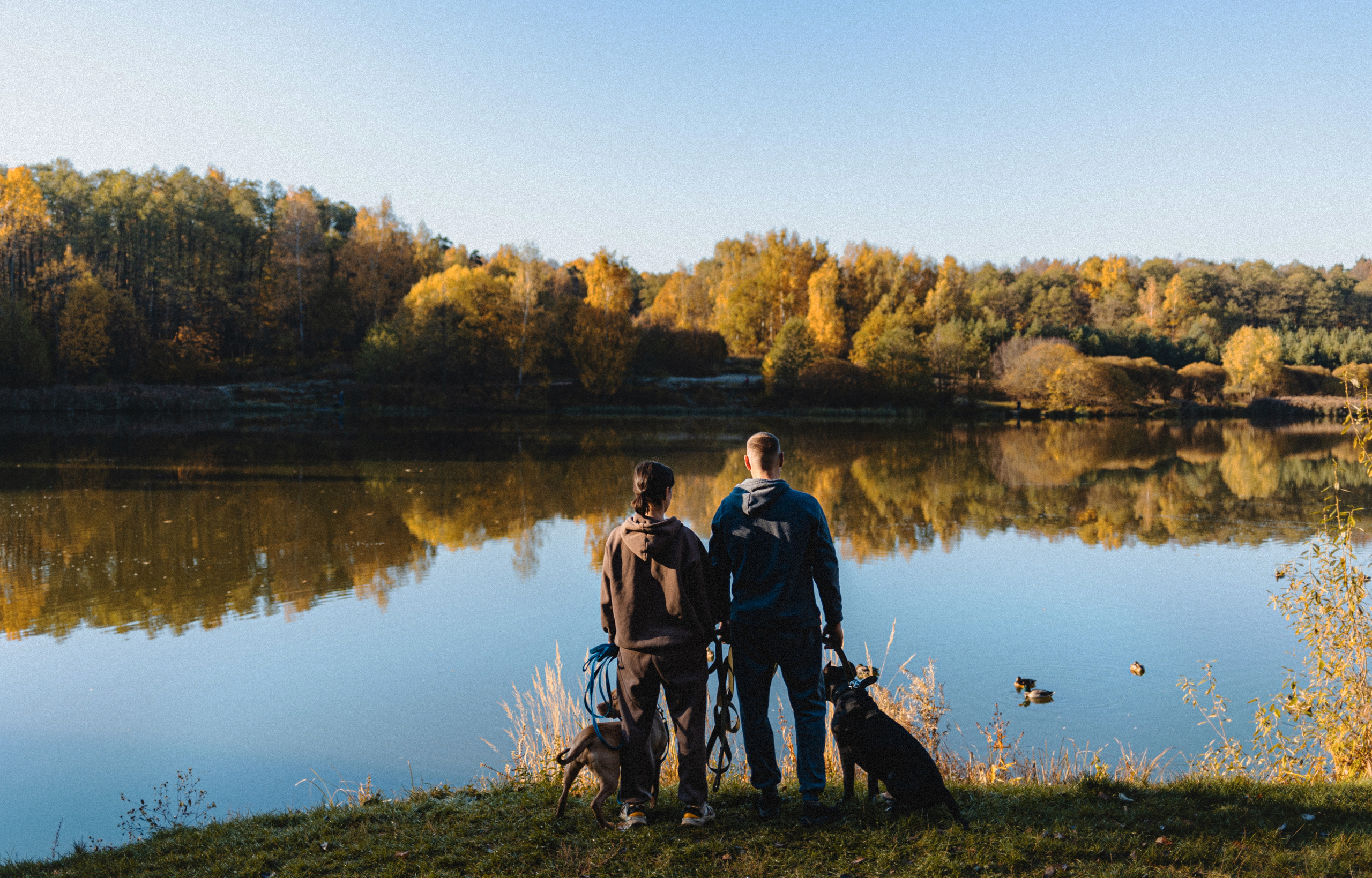 Фотосессия с собаками Камю и Афина в Москве