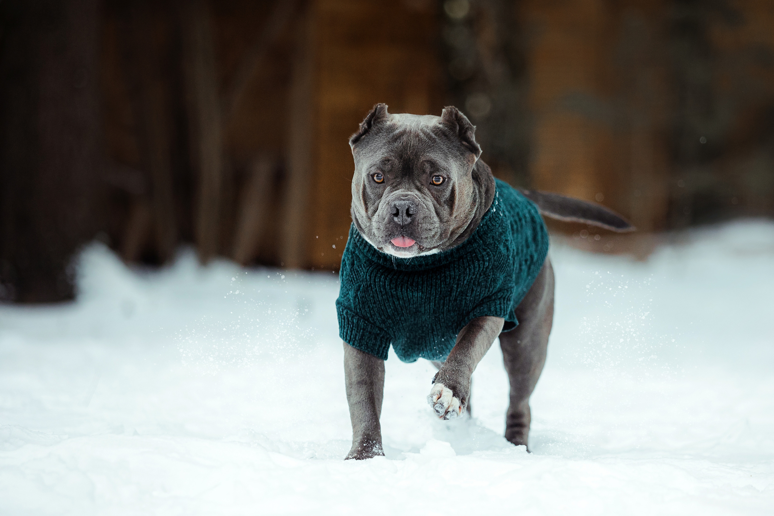 Фотосессия Маши и Халка