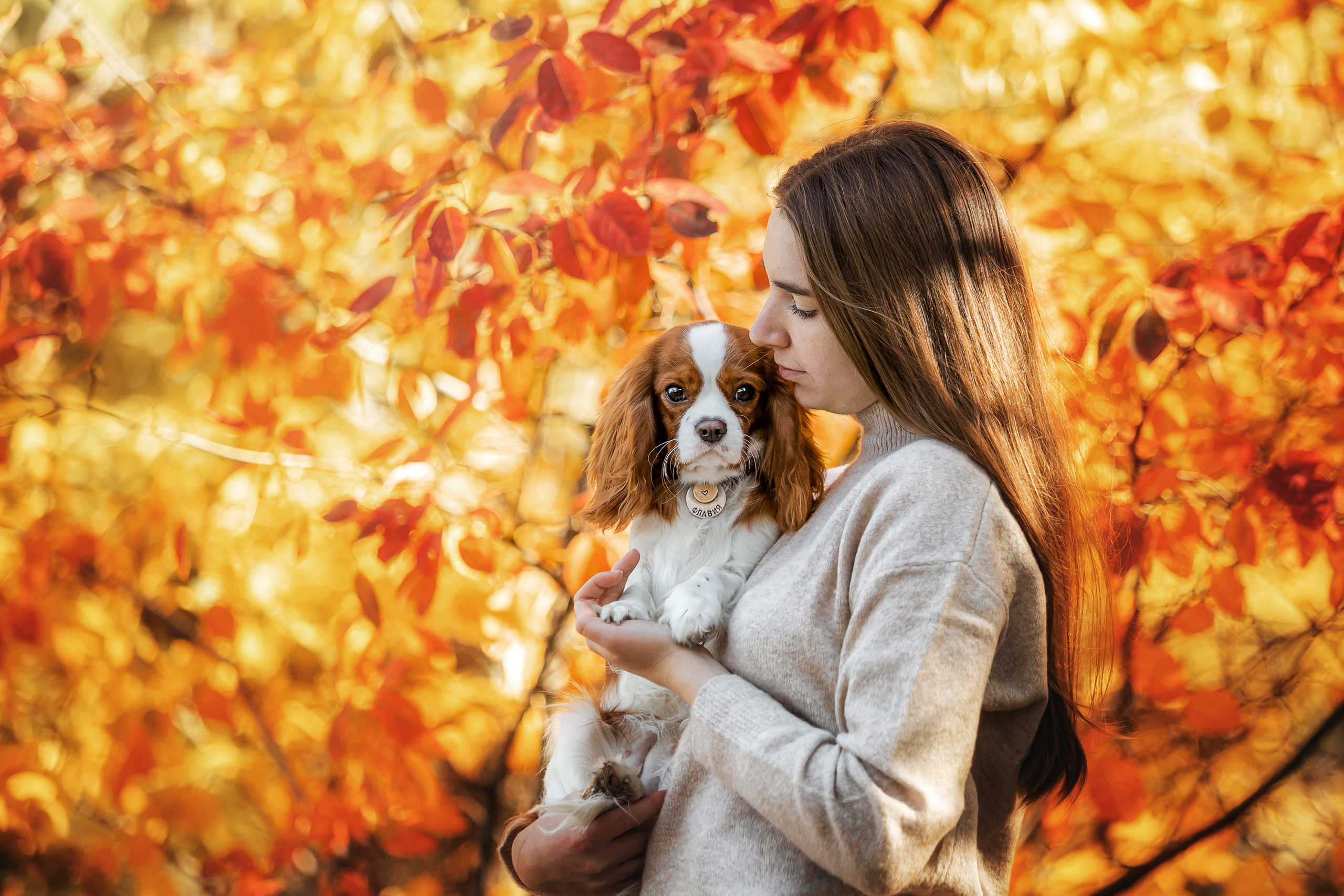 Фотосессия с собакой Флаффи в Москве