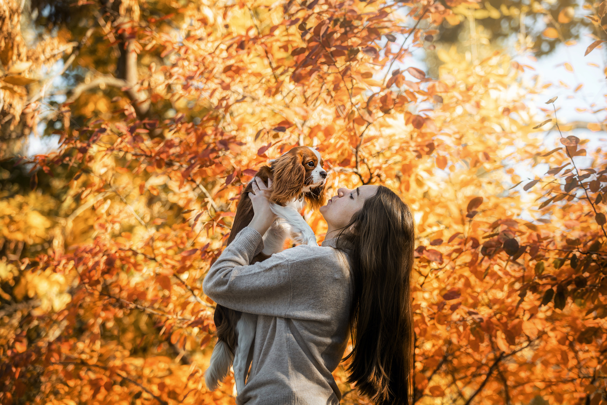 Фотосессия с собакой Флаффи в Москве