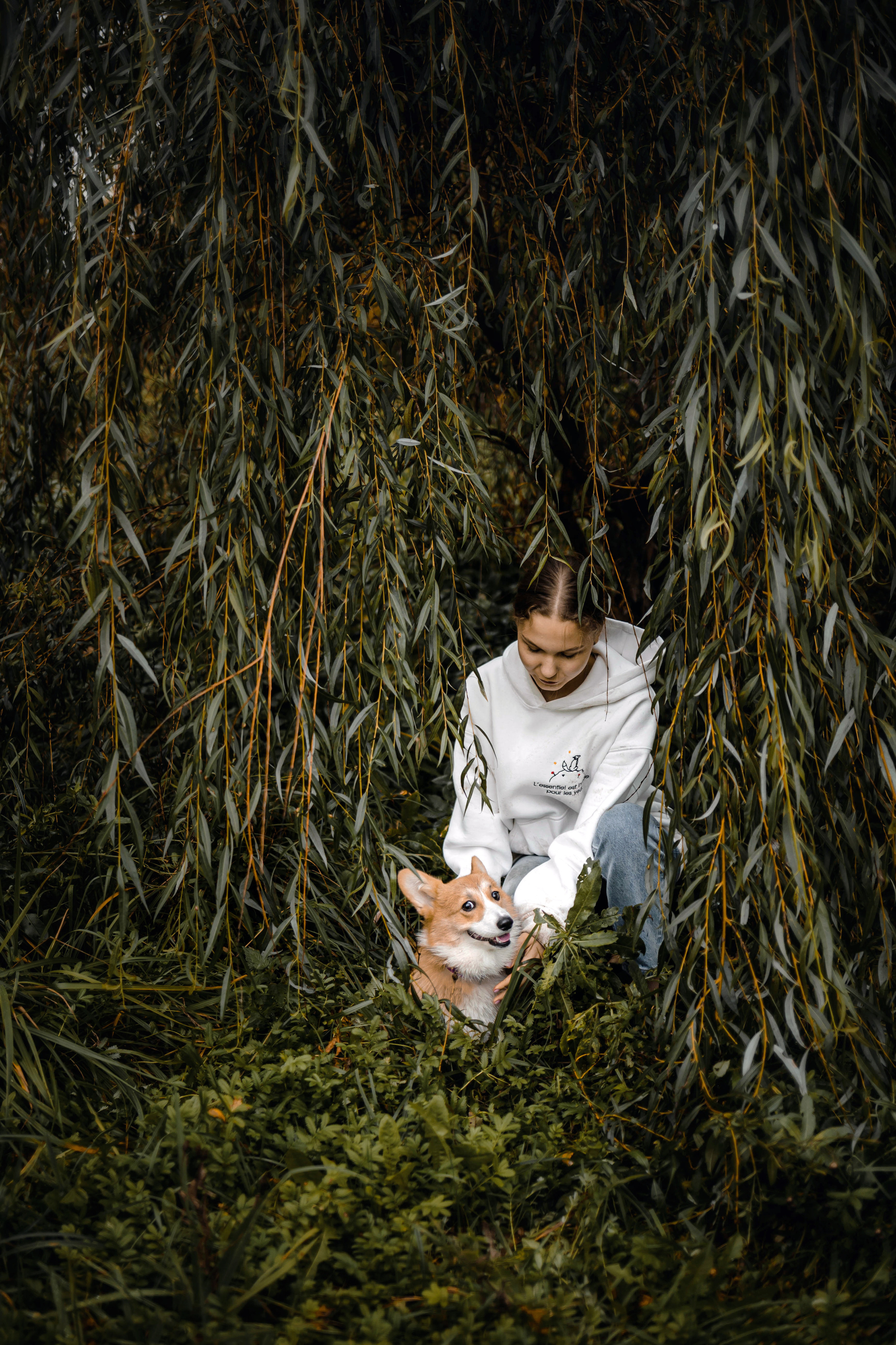 Фотосессия с собакой Заей в Москве