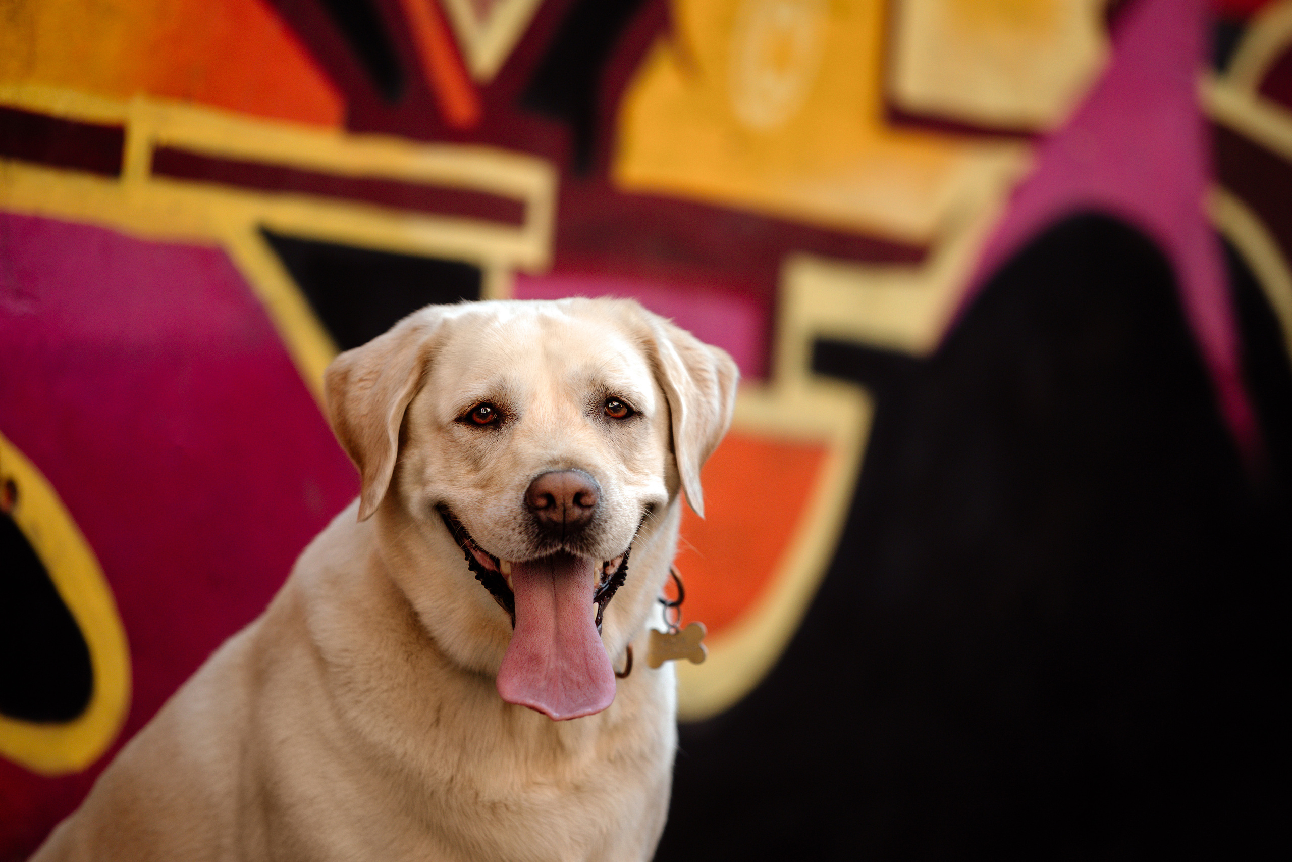 Настя и Мэри