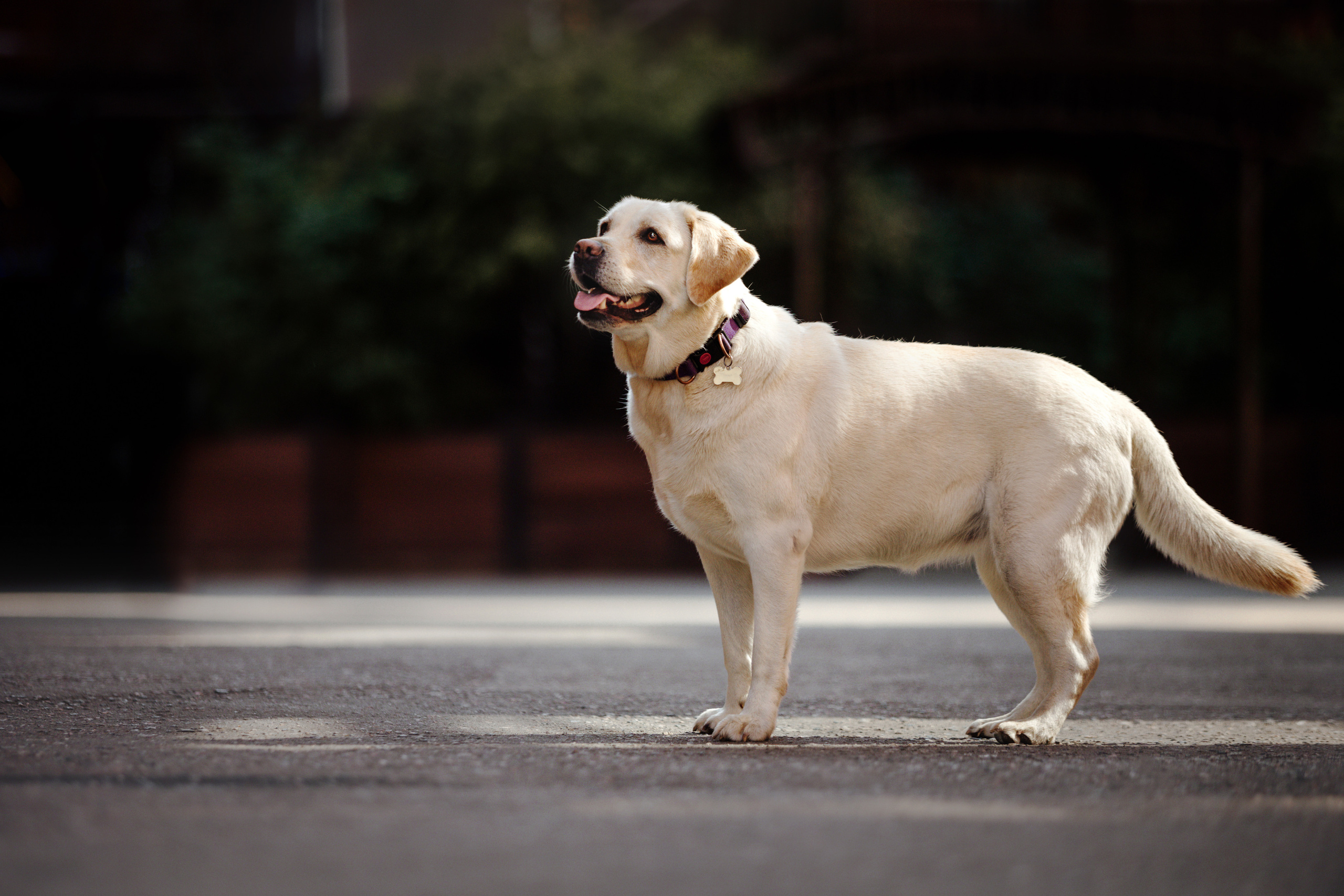 Настя и Мэри