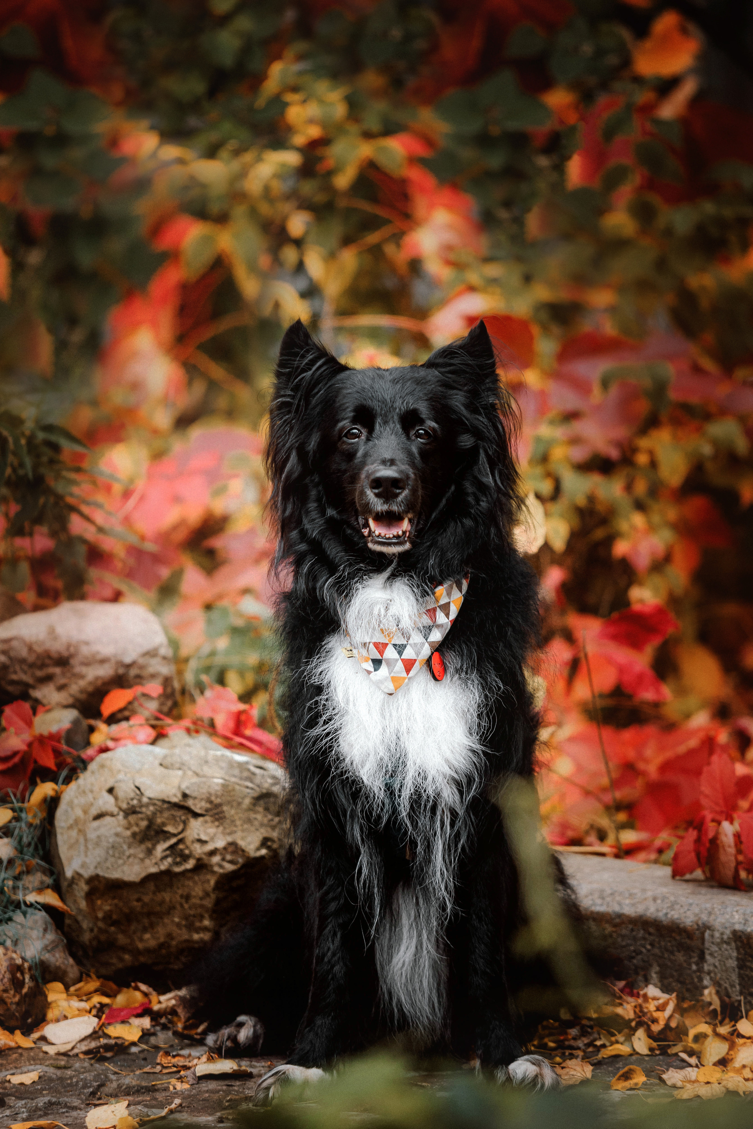 Диана и Чили