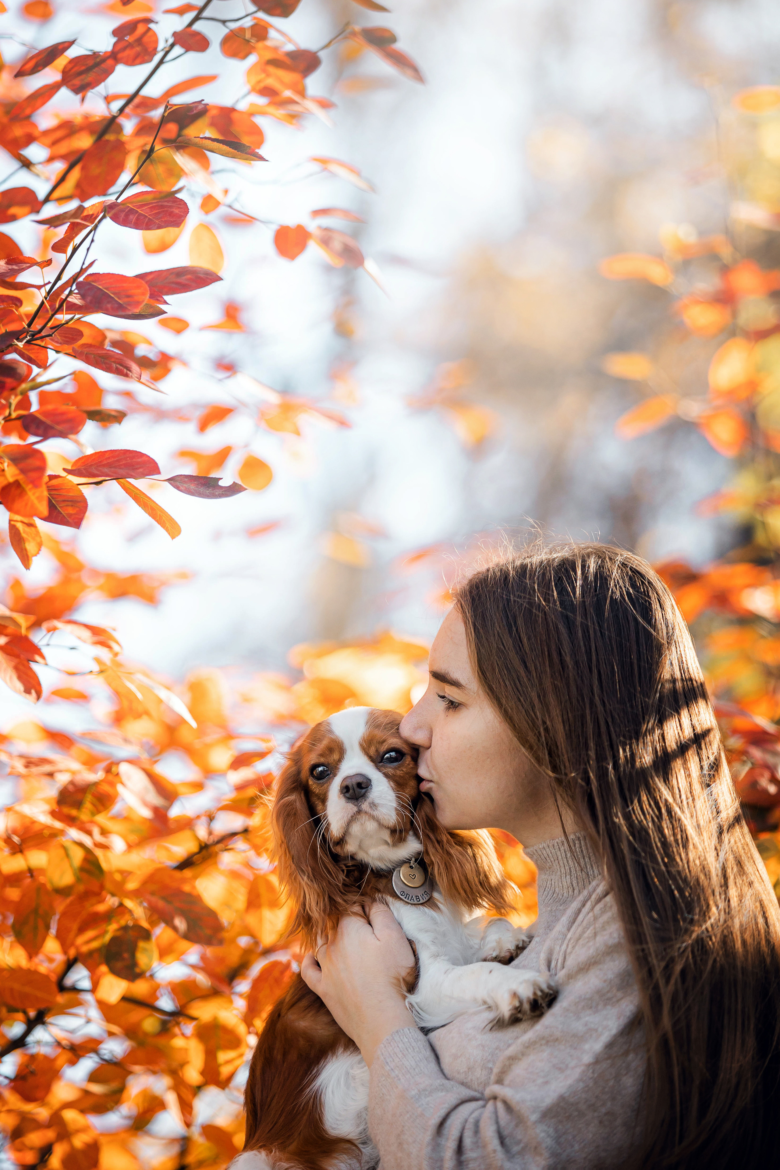 Фотосессия с собакой Флаффи в Москве