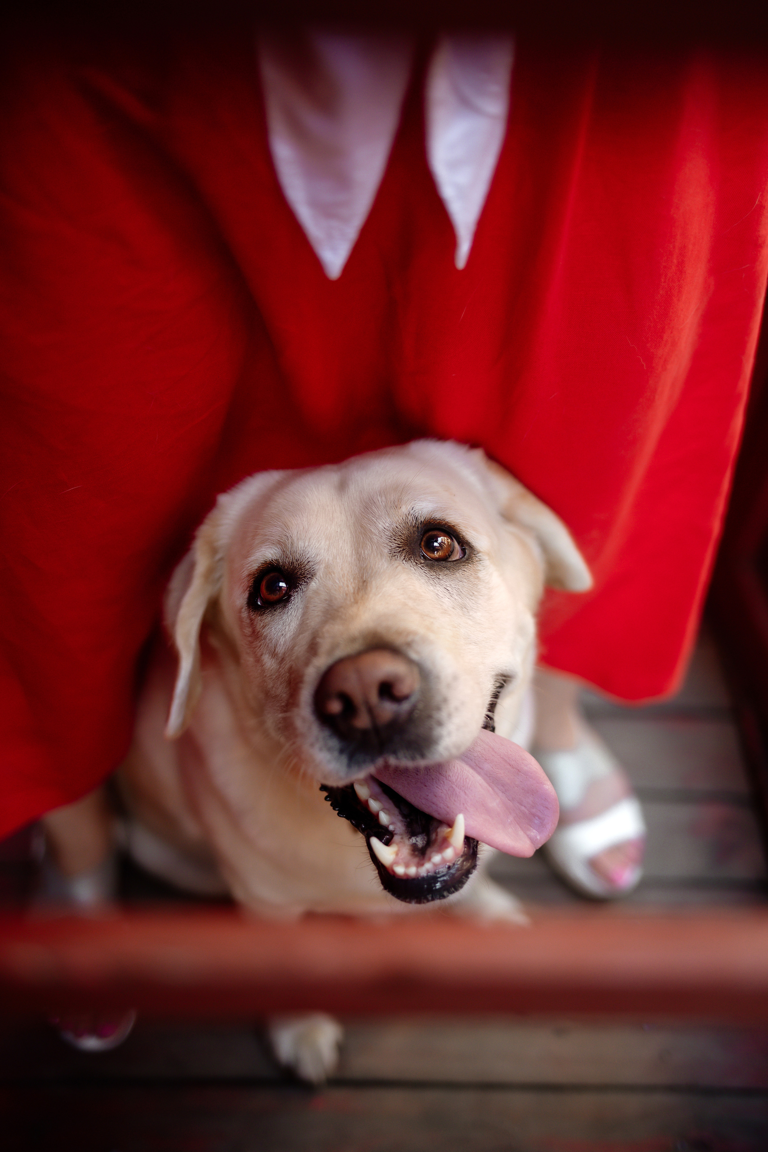 Настя и Мэри