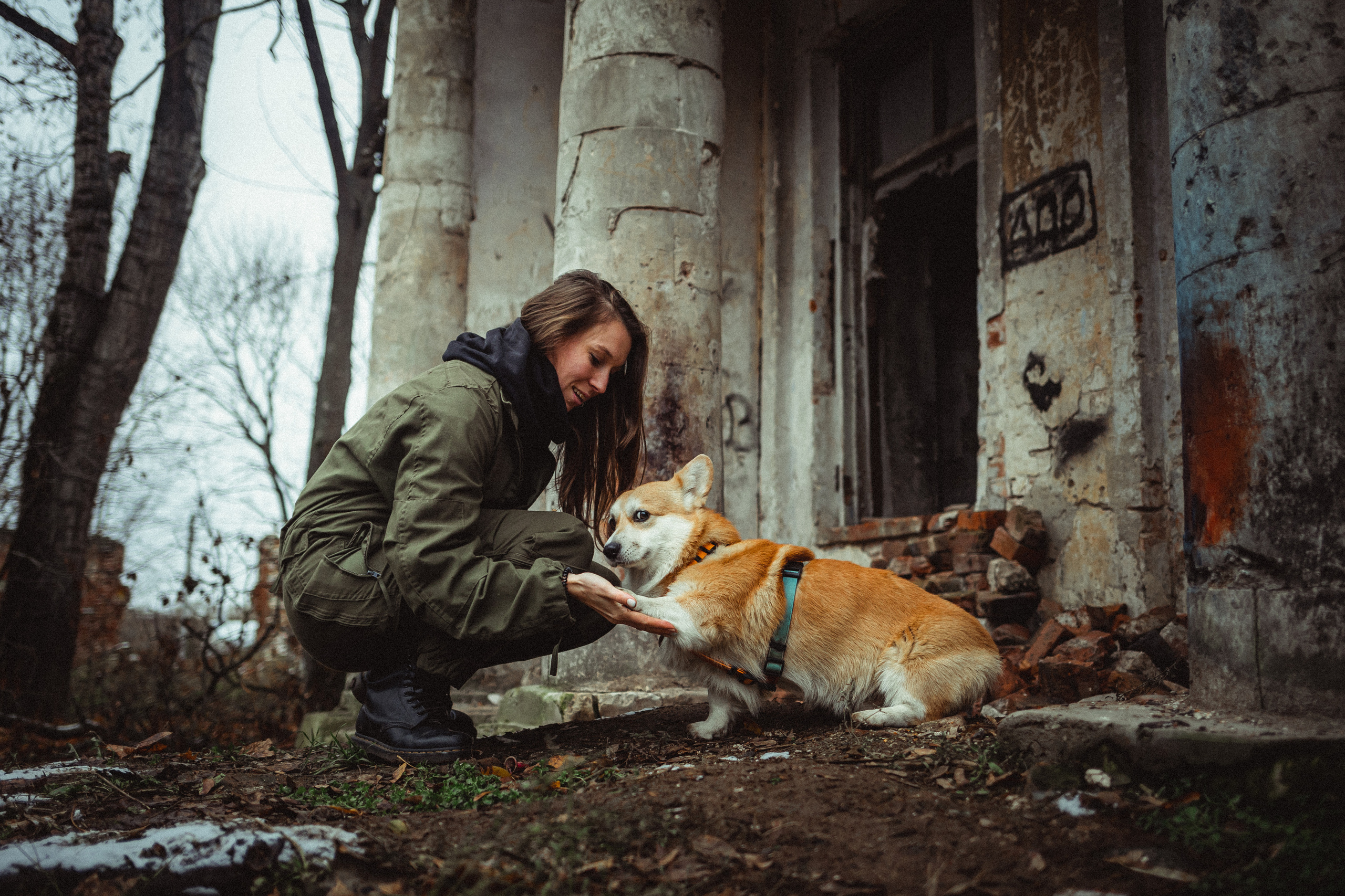 Фотосессия Алены, Фелька и Камю