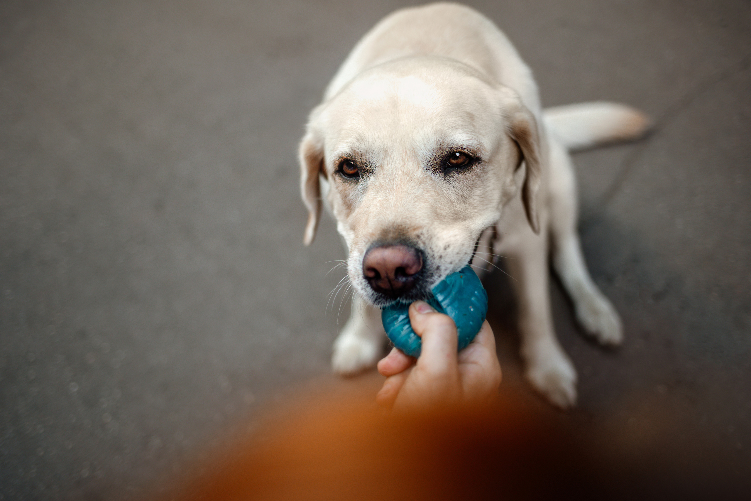 Настя и Мэри
