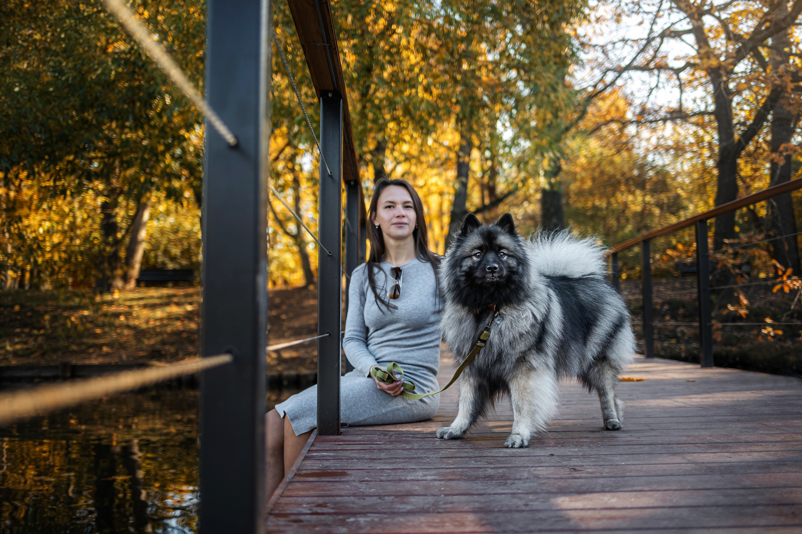 Фотосессия с собакой Чарой в Москве