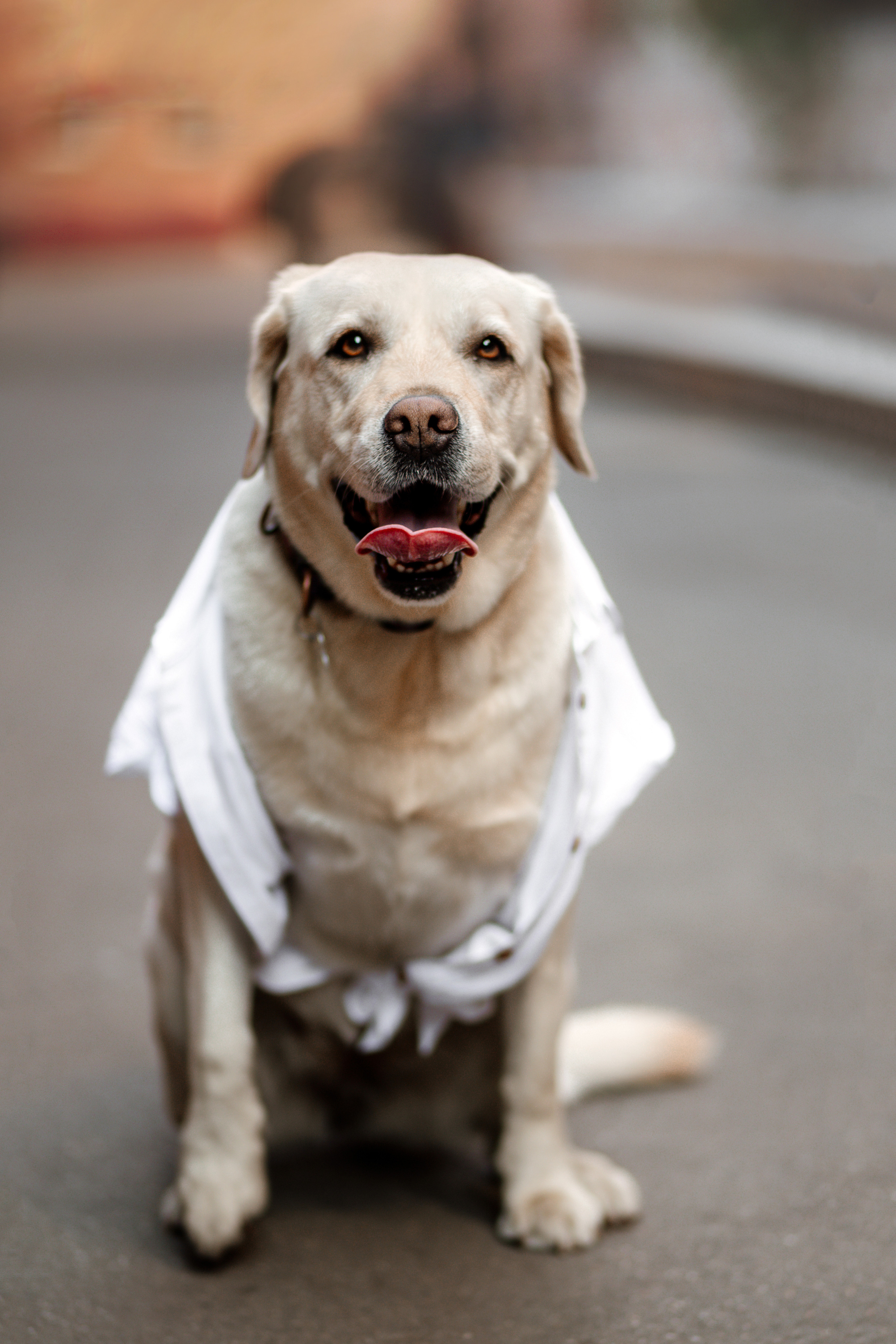 Настя и Мэри