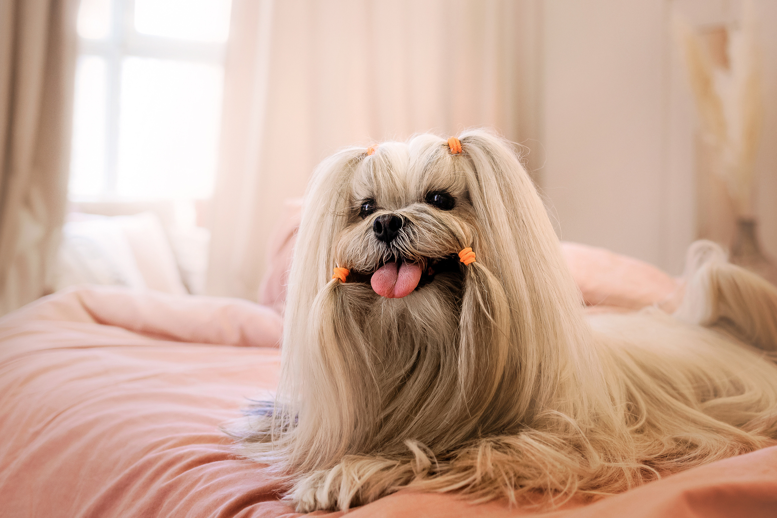 Фотосессия с Алисой и Мартином в студии в Москве