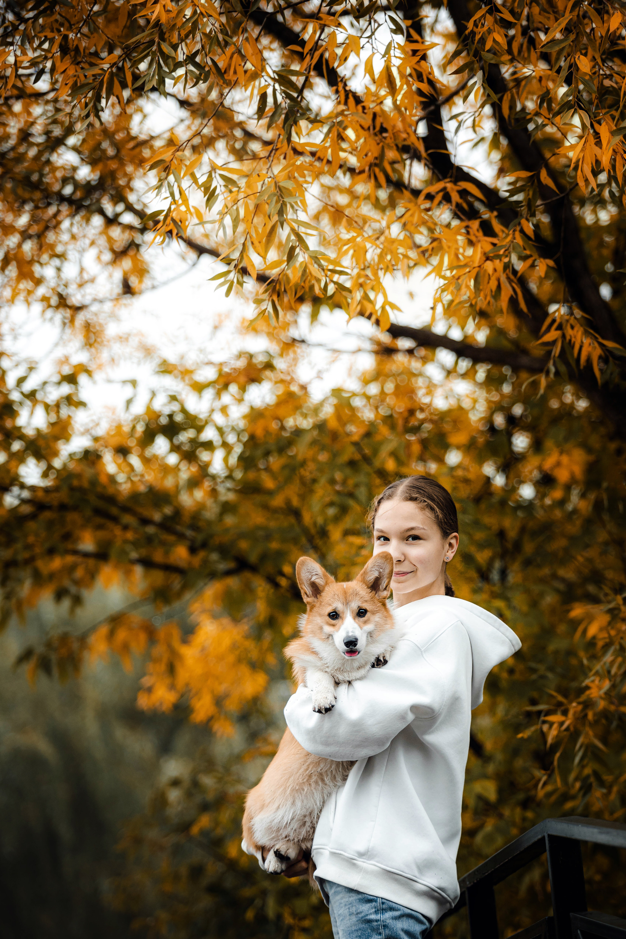 Фотосессия с собакой Заей в Москве