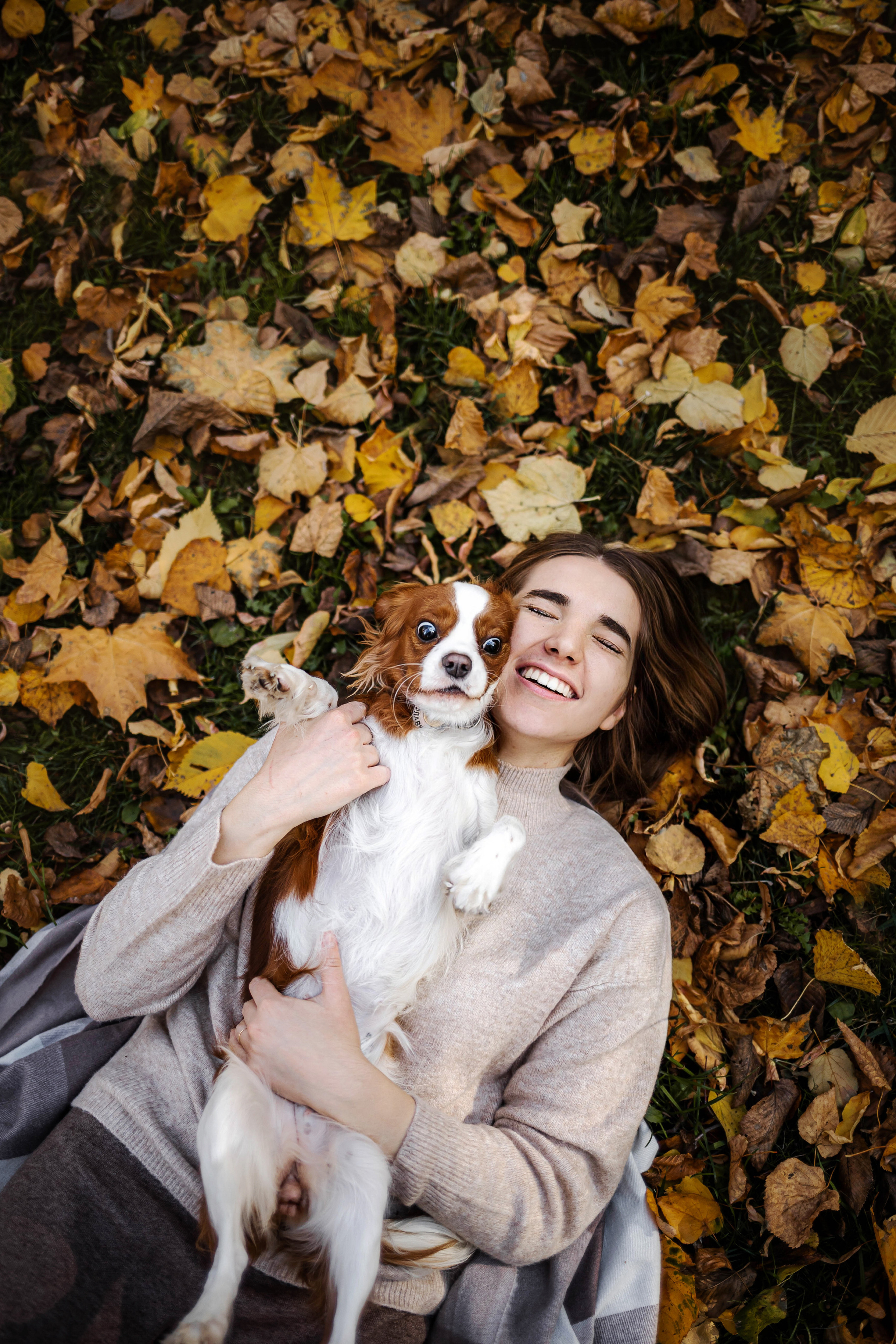 Фотосессия с собакой Флаффи в Москве