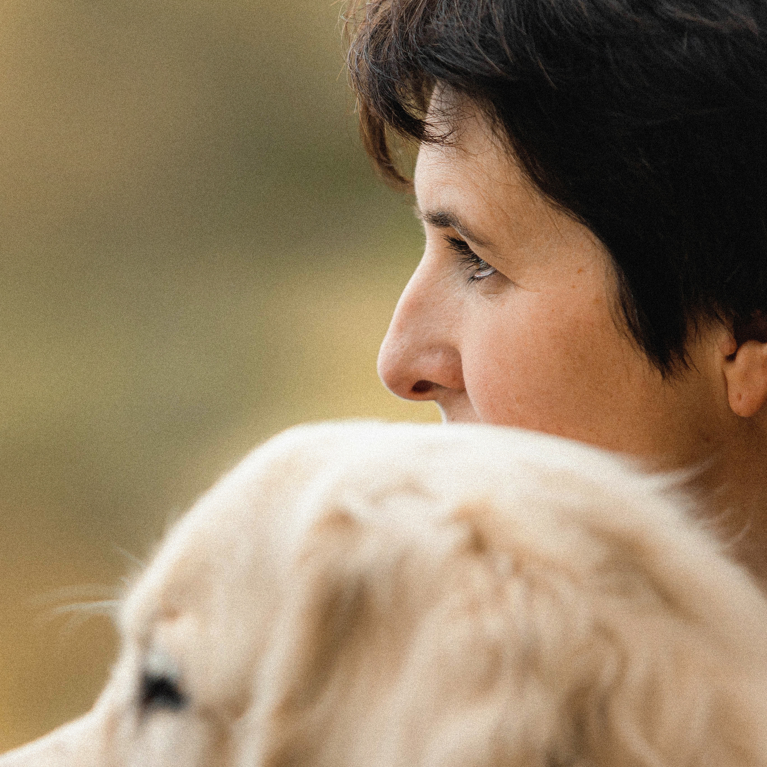 Фотосессия с золотистым ретривером Мартином в Москве