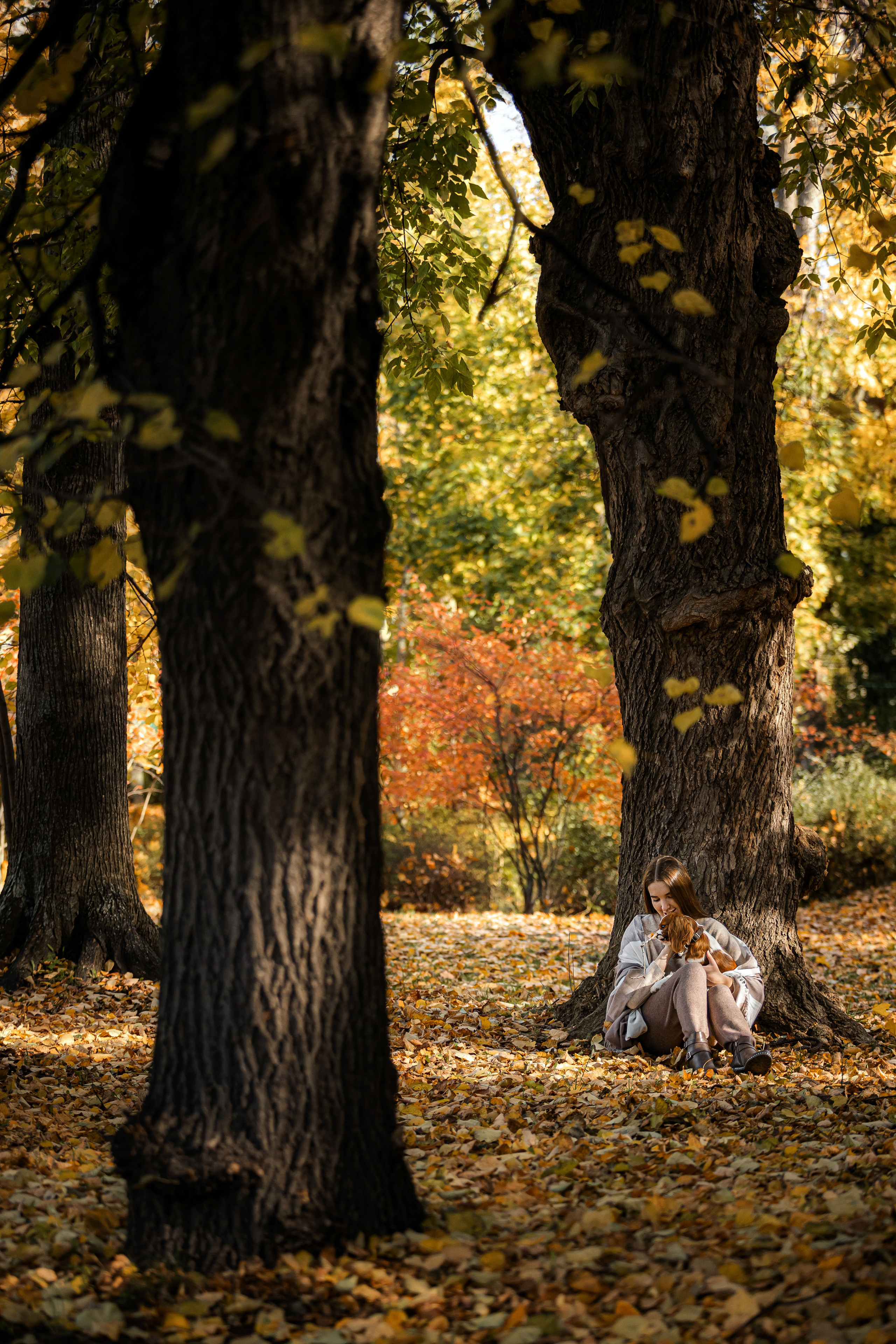 Фотосессия с собакой Флаффи в Москве